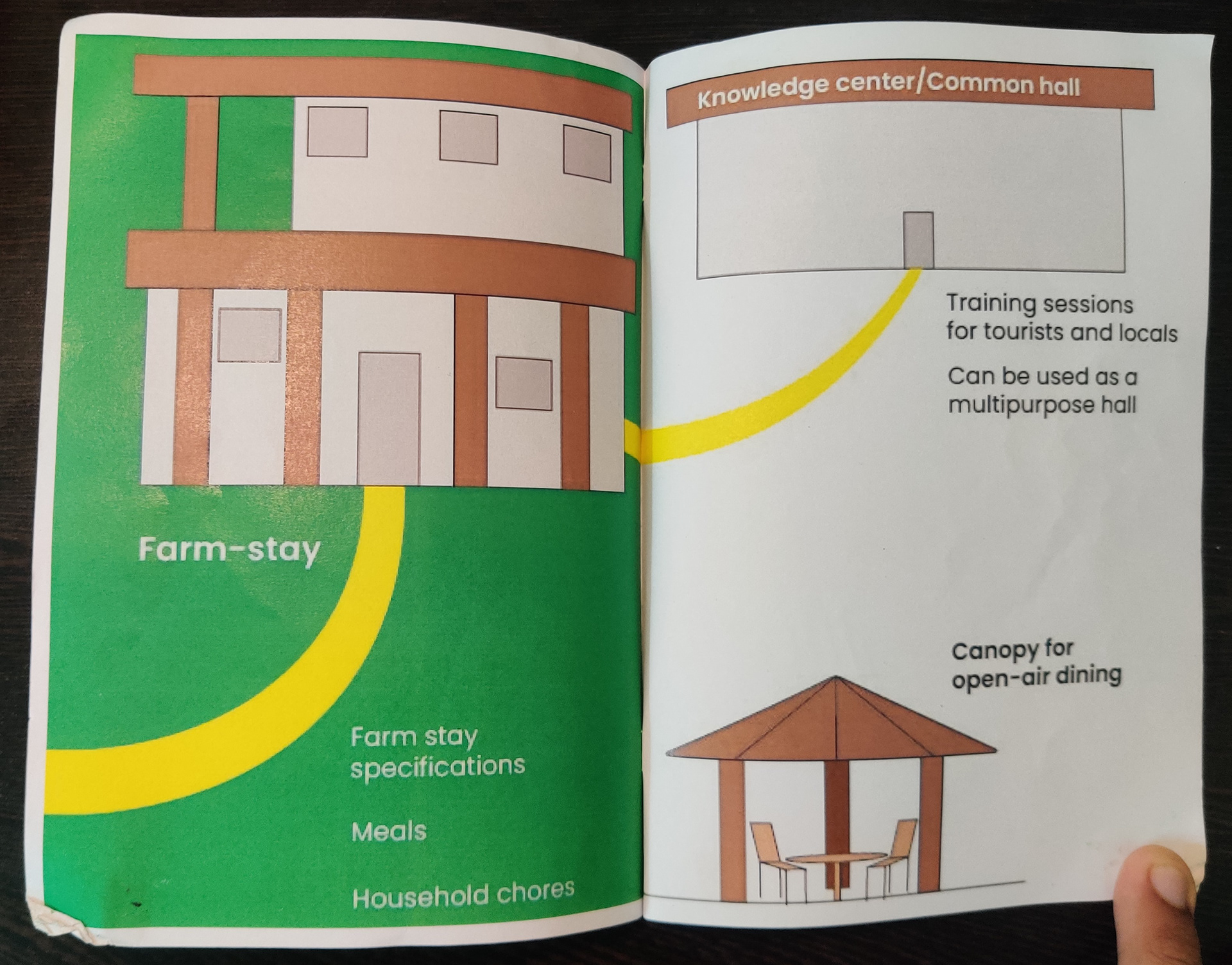 Page 5 and 6
