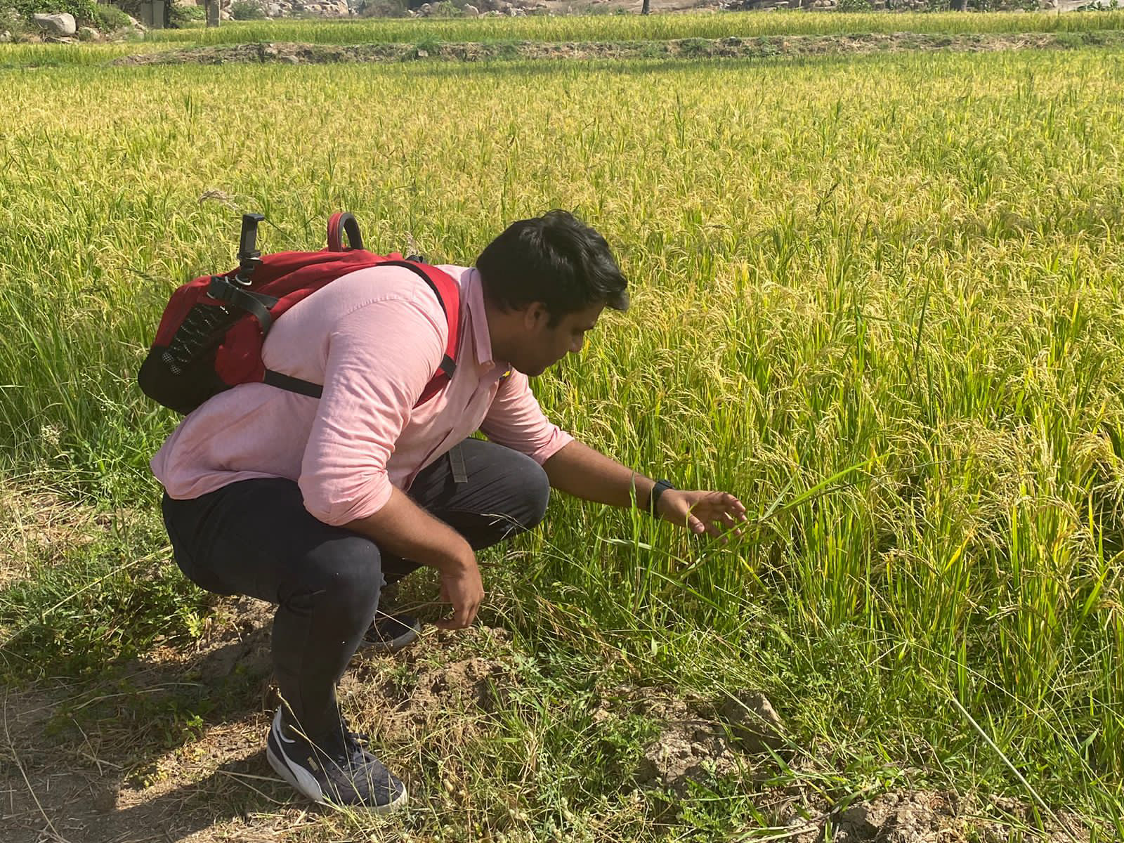 Visit to farm