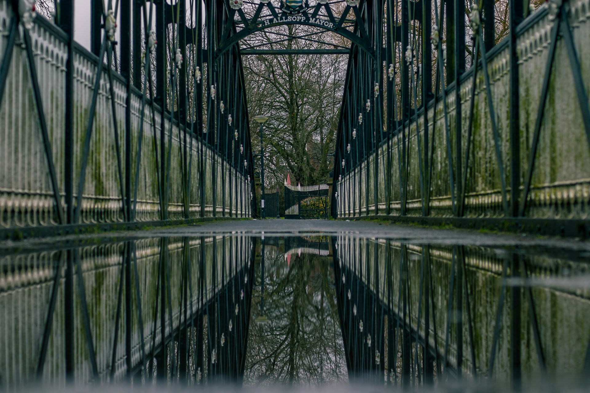 Reflections