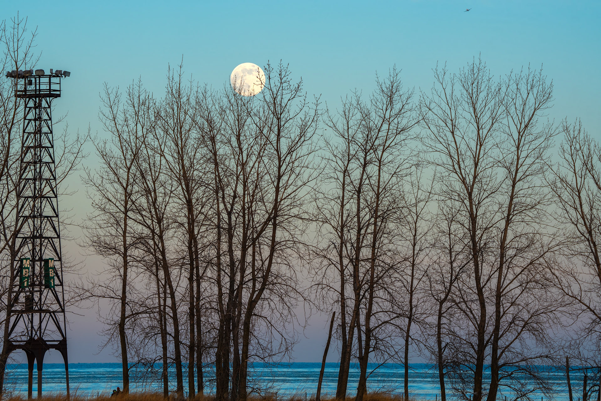 Wolf Moon - January 2026