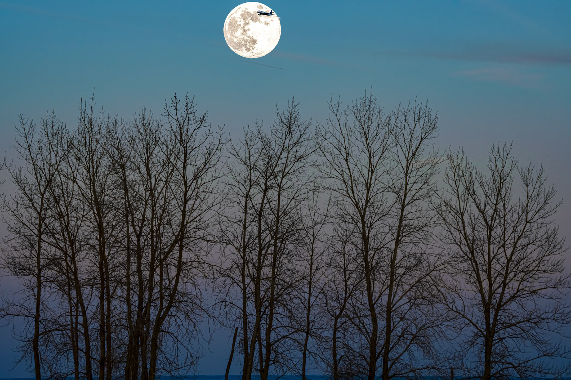 Wolf Moon - January 2026