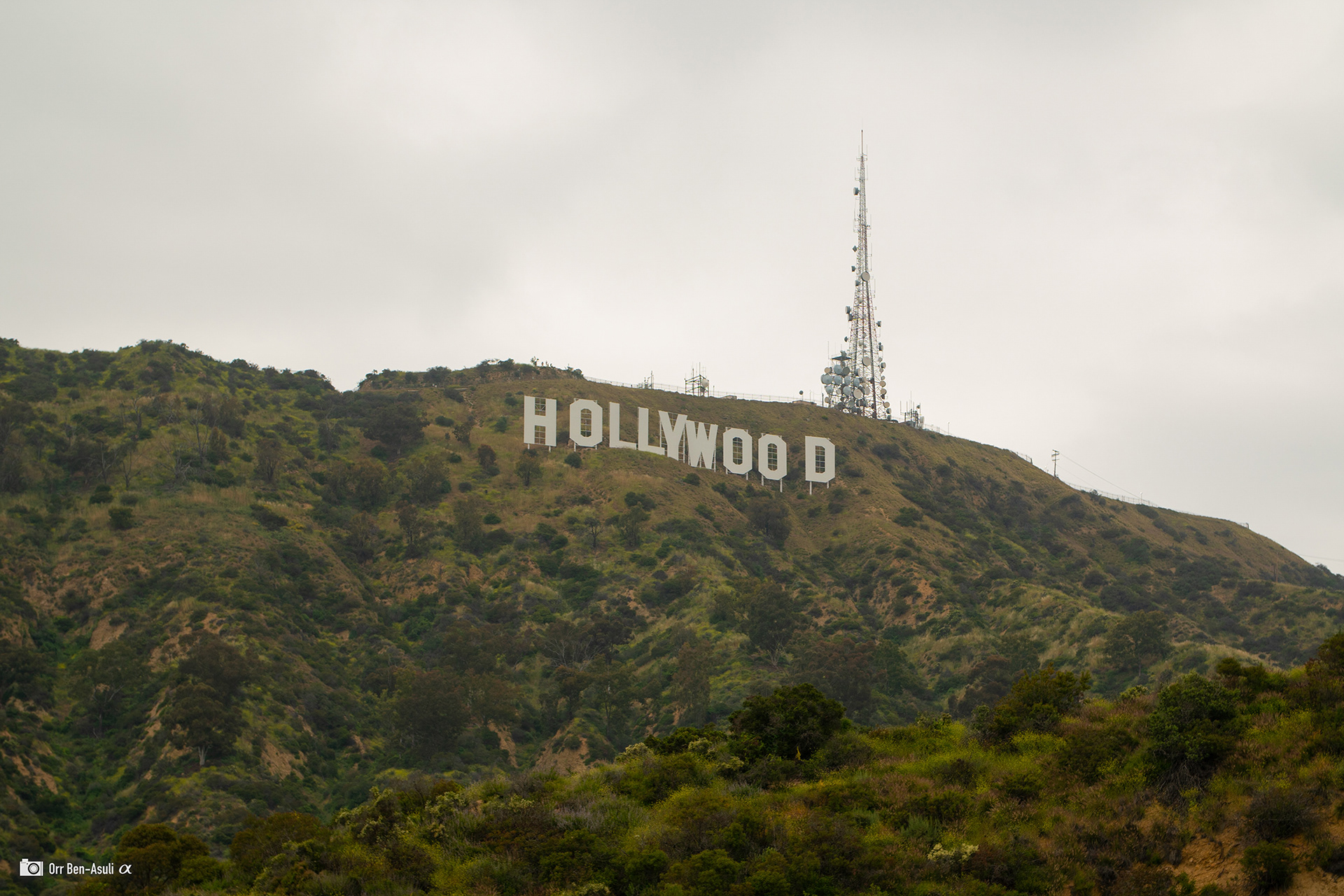 Hollywood | 09.05.23