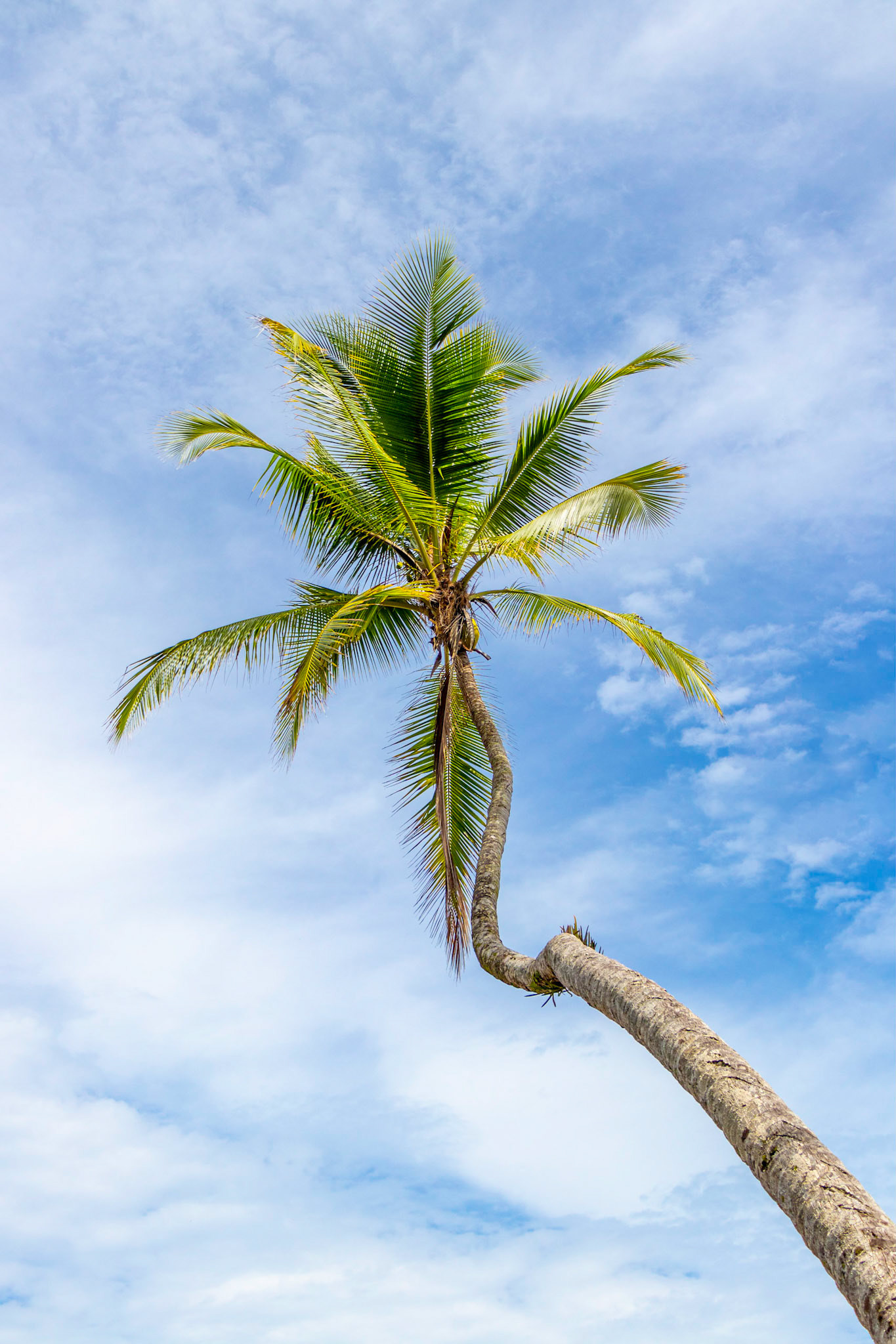 Osa Peninsula | © Kenneth Vargas