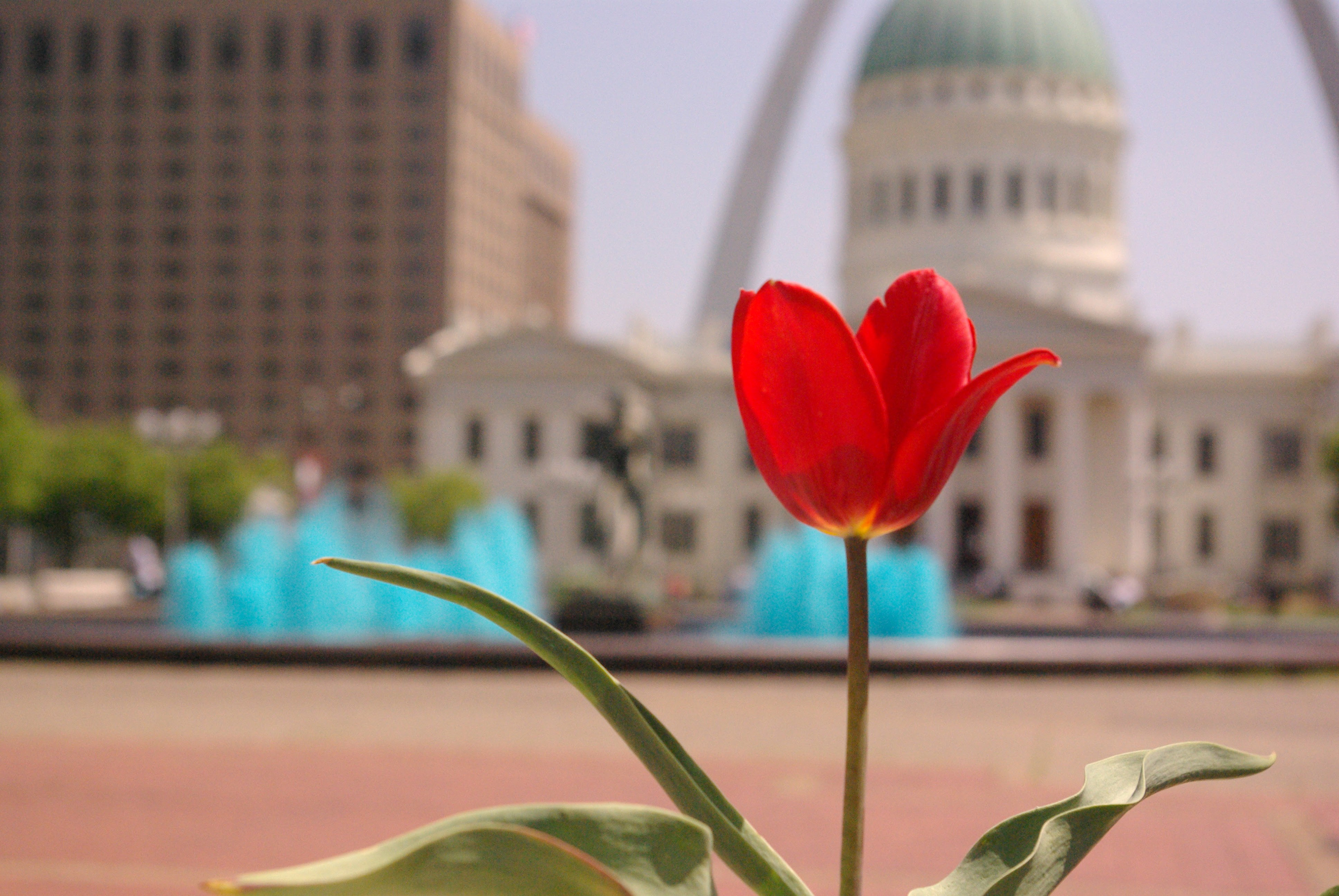 old courthouse, saint louis, missouri, usa