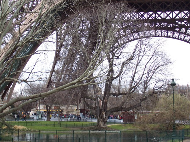 grandeur, tour eiffel, paris, france