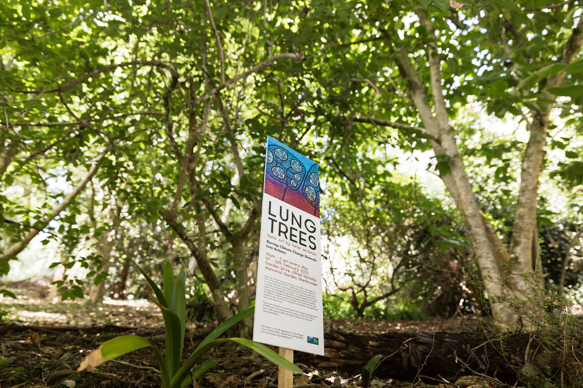 Lung Trees: Alfred Nicholas Memorial Gardens 2023 (photography by Cathy Ronalds)