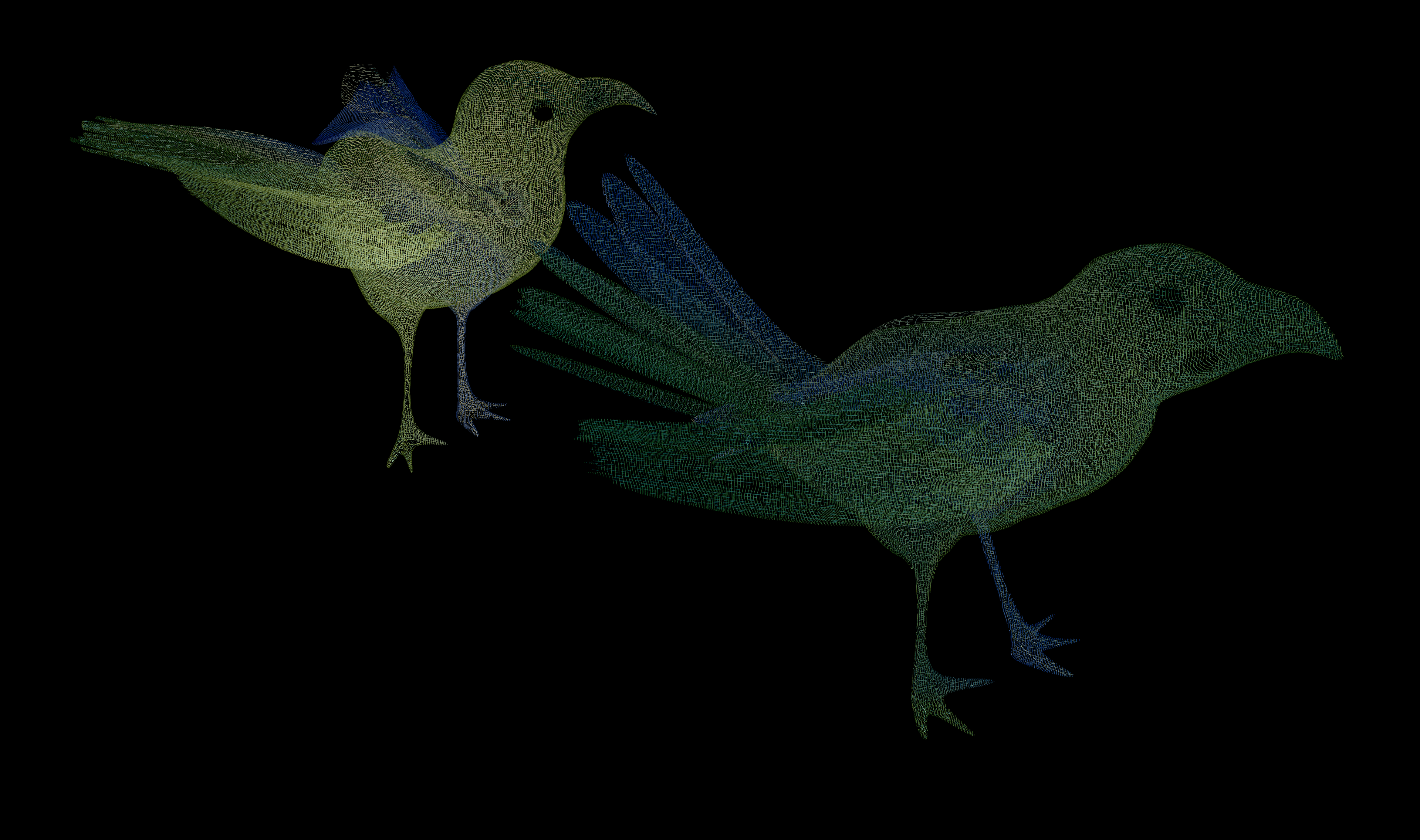Two Xray Birds