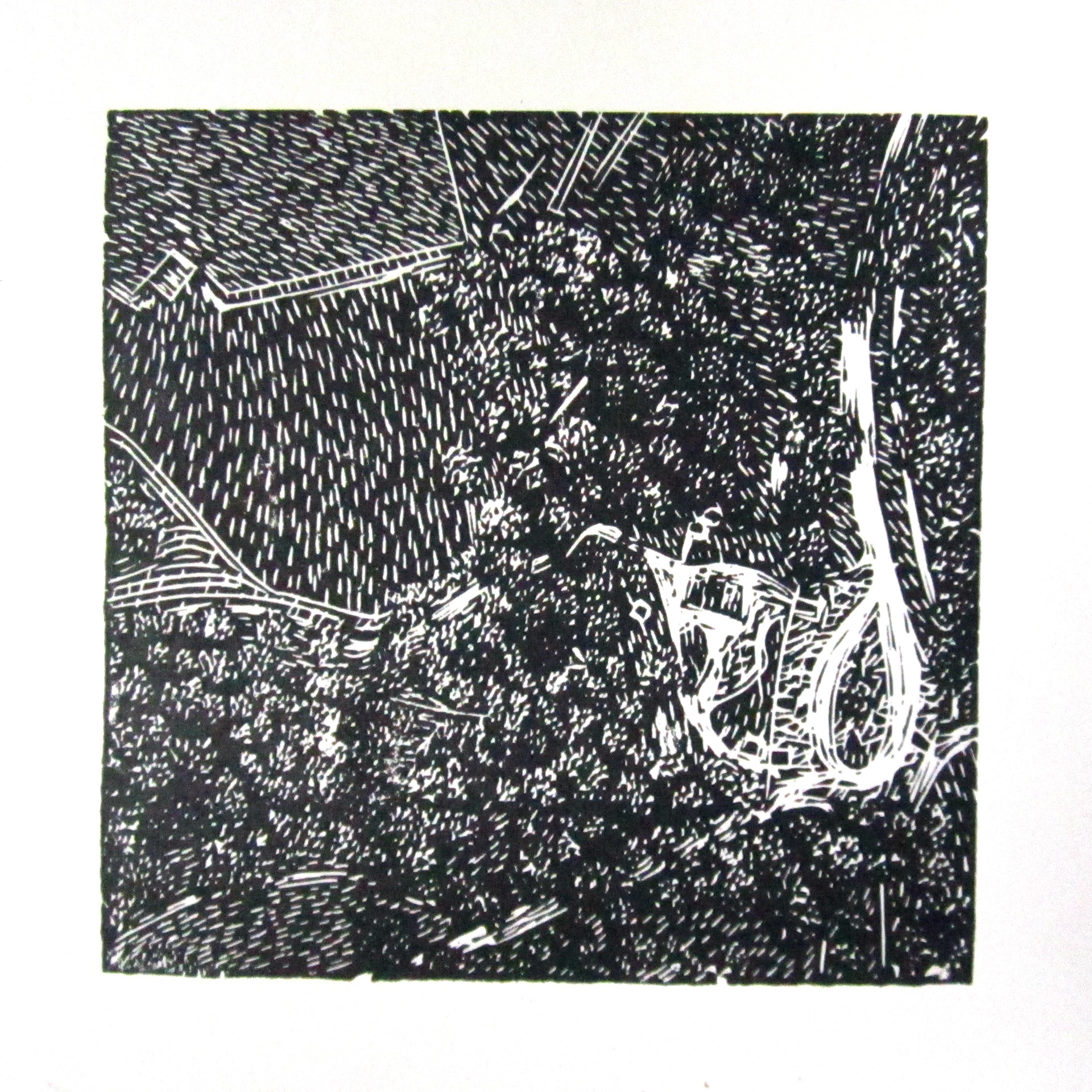 Picnic Area