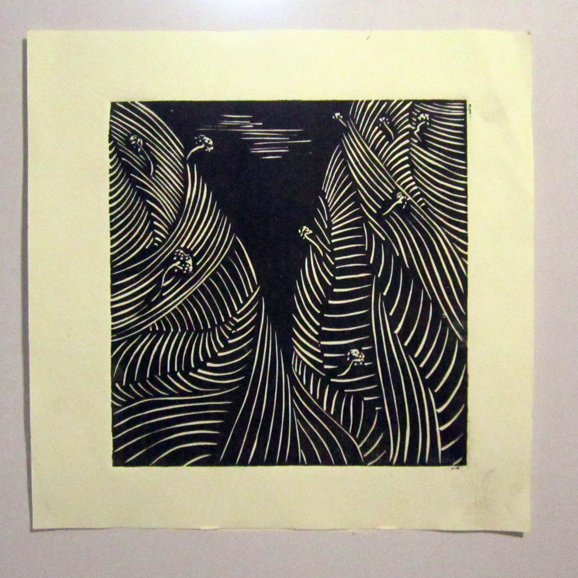 Gully and Trees