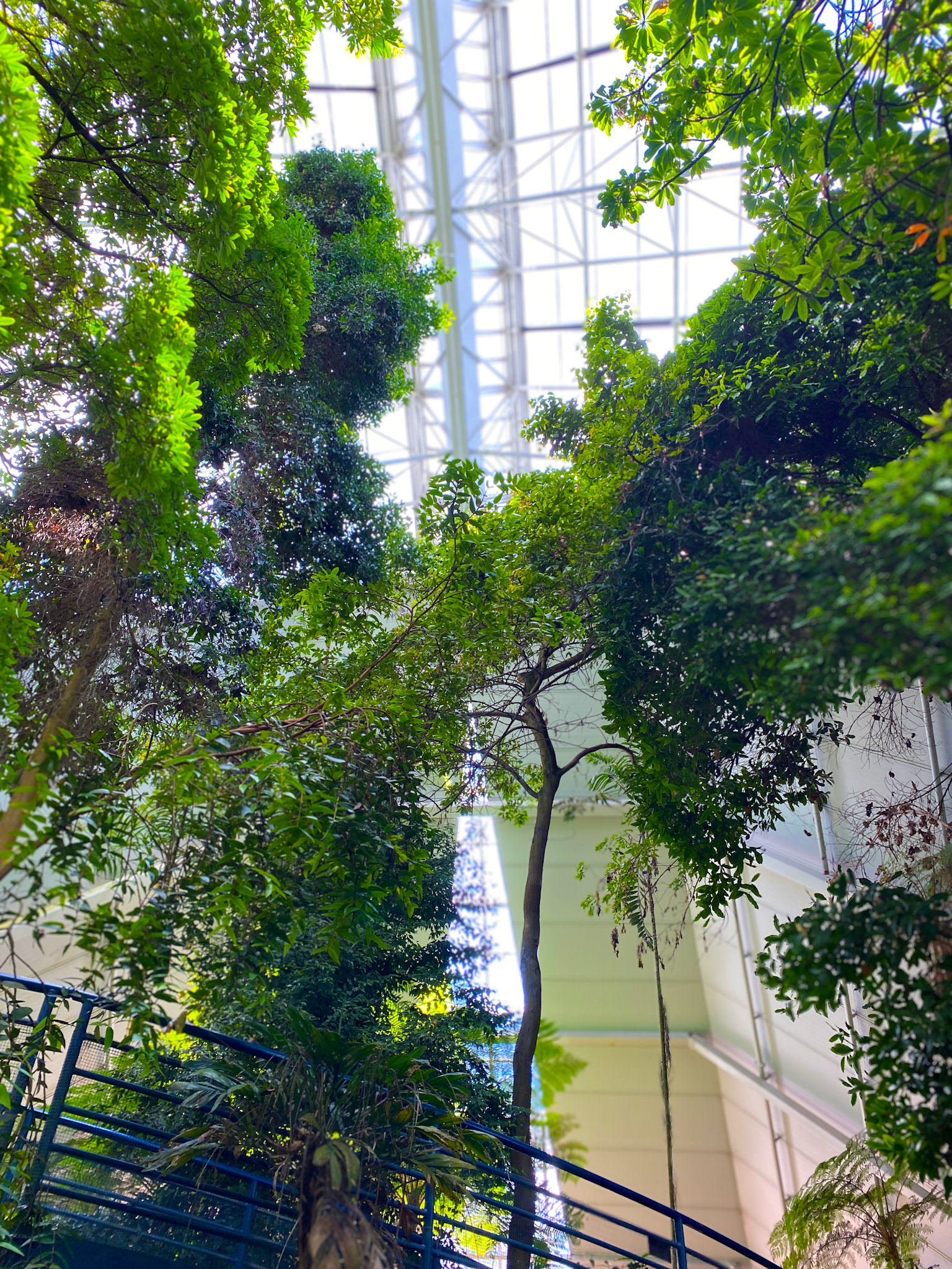 Adelaide Bicentennial Conservatory