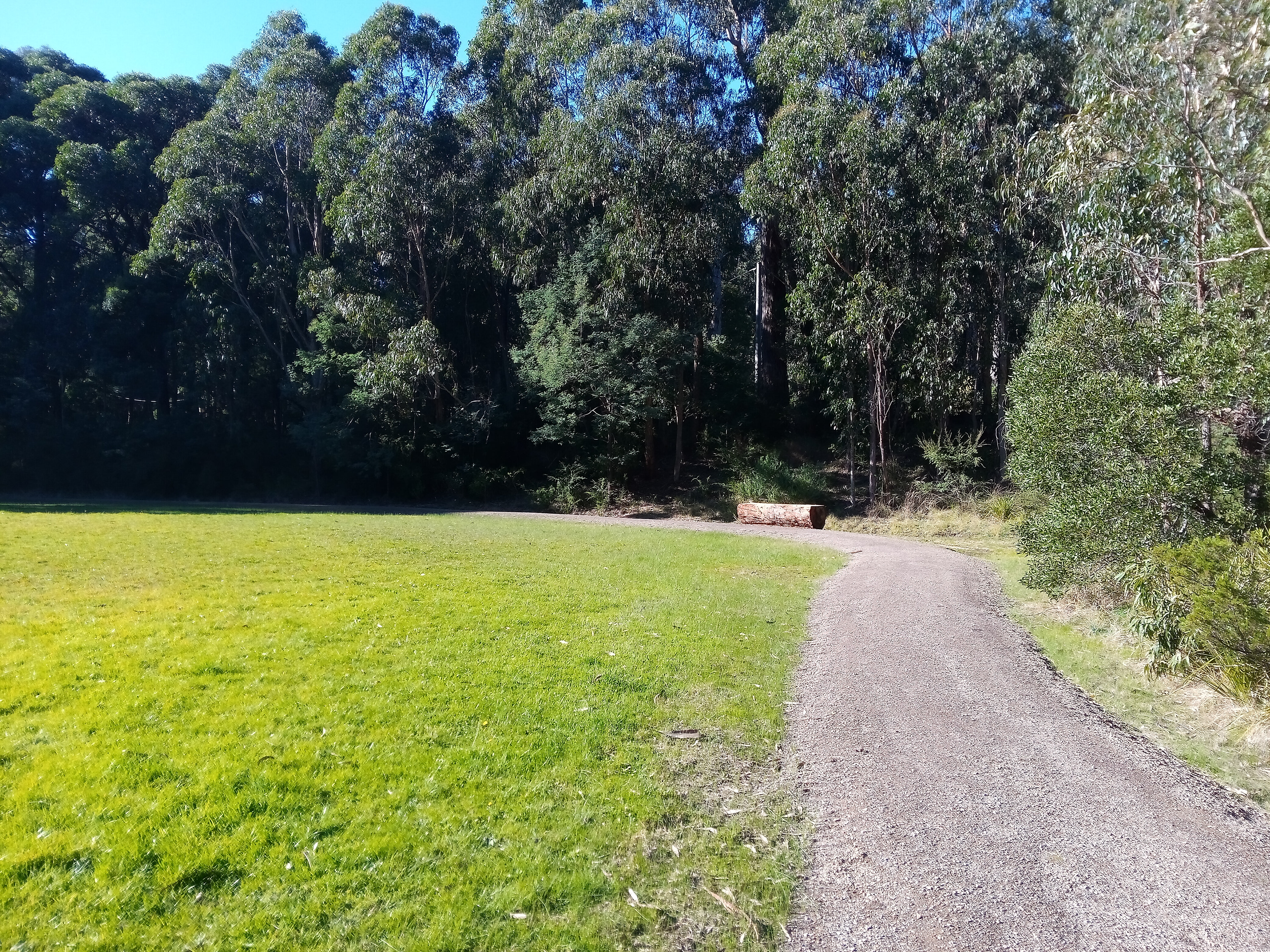 Possible Installation site