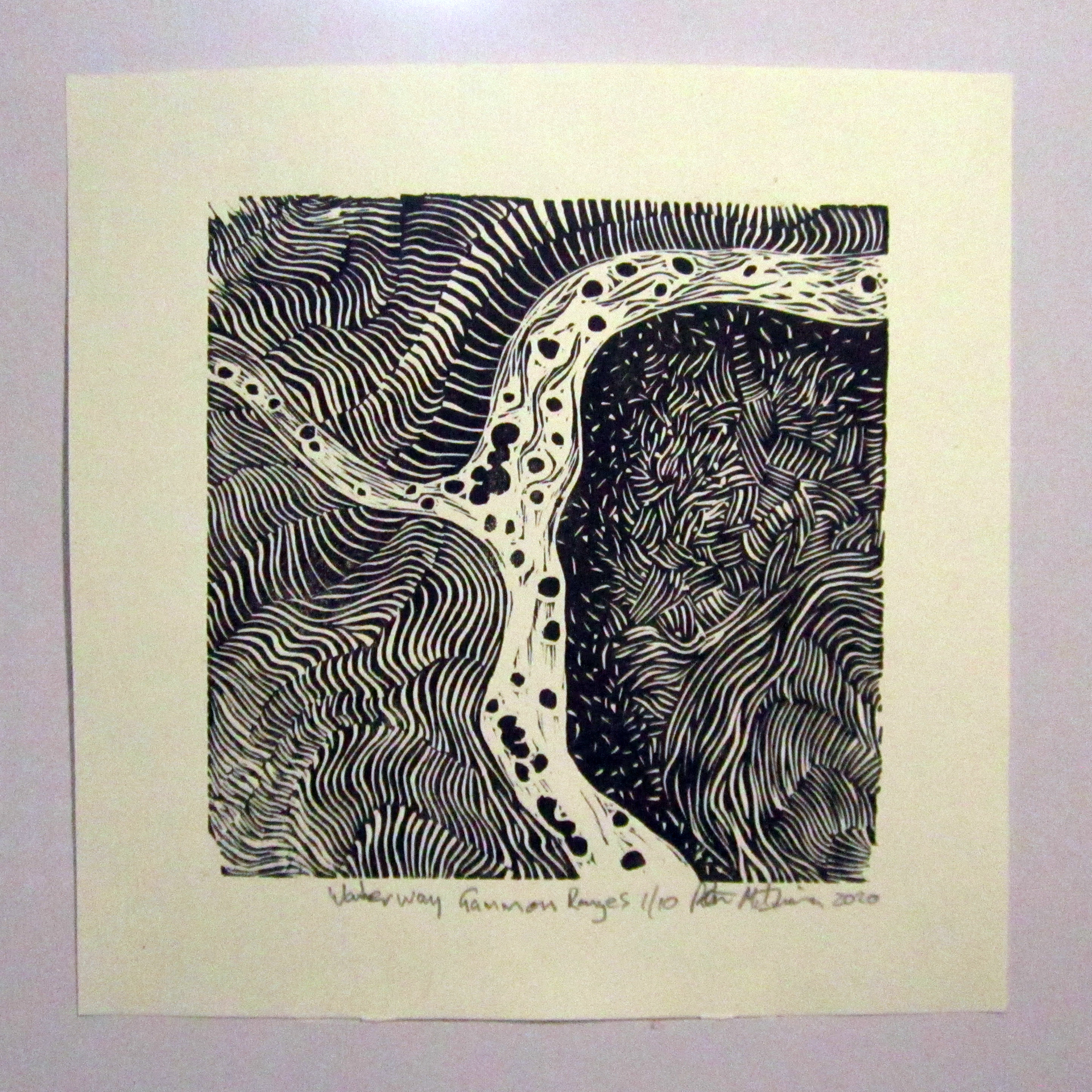 Waterway Gammon Ranges