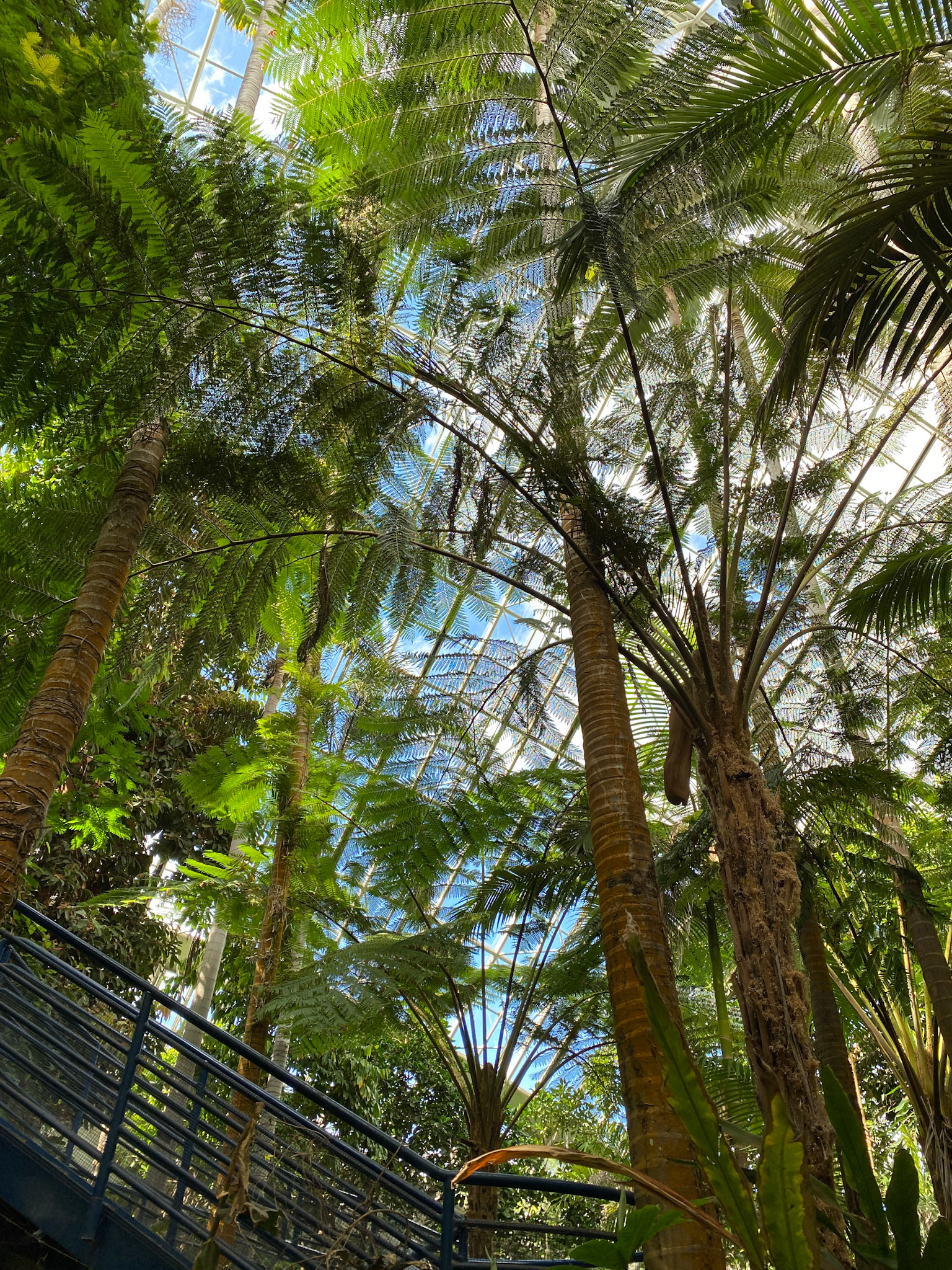 Adelaide Bicentennial Conservatory