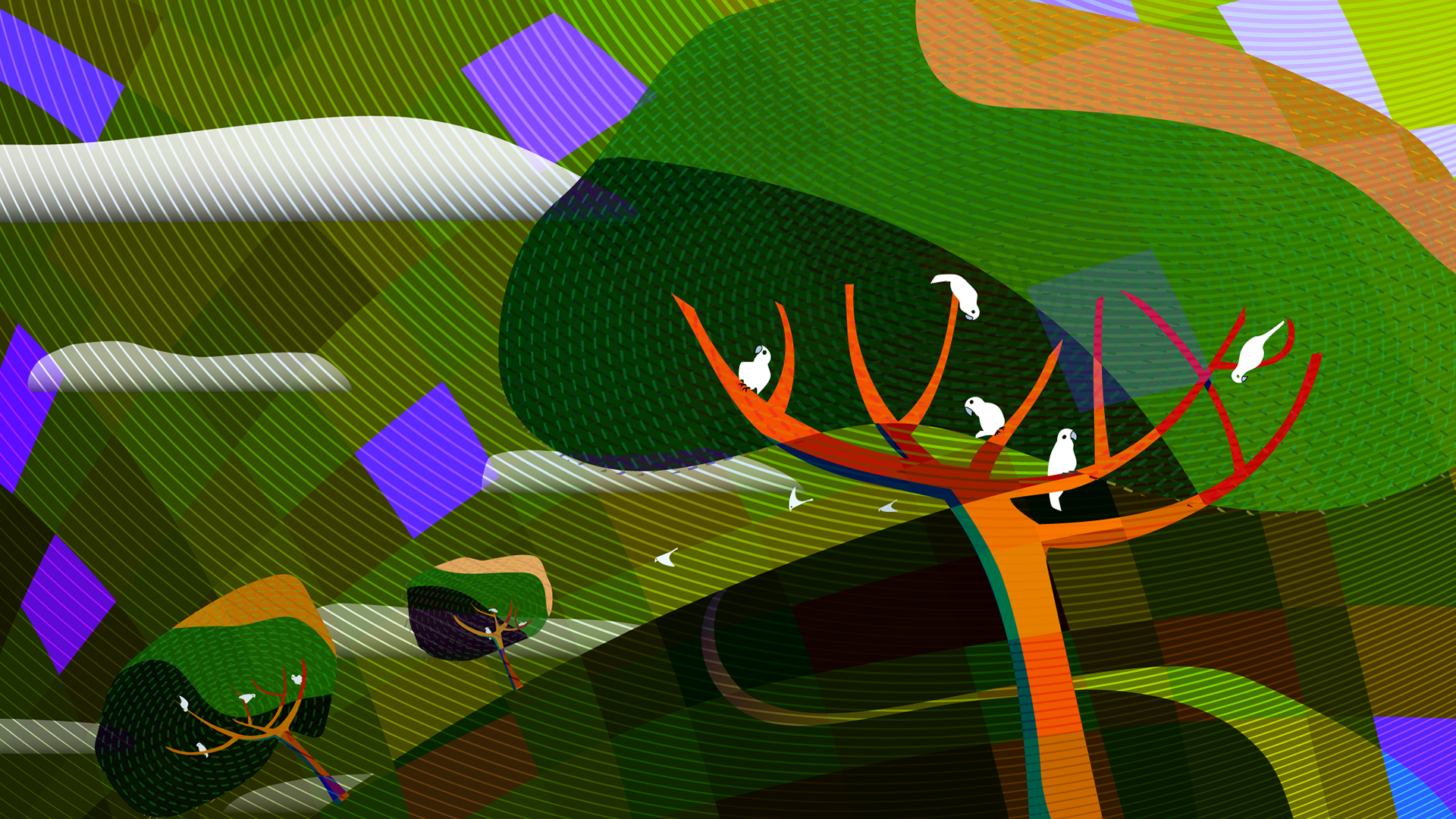 Hill Trees and Cockys