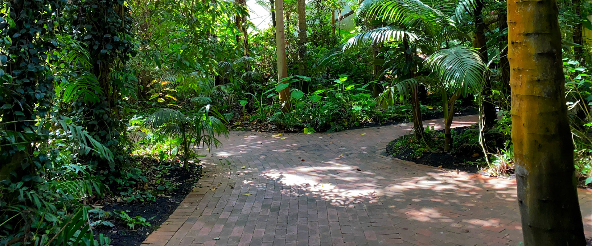 Conservatory Adelaide
