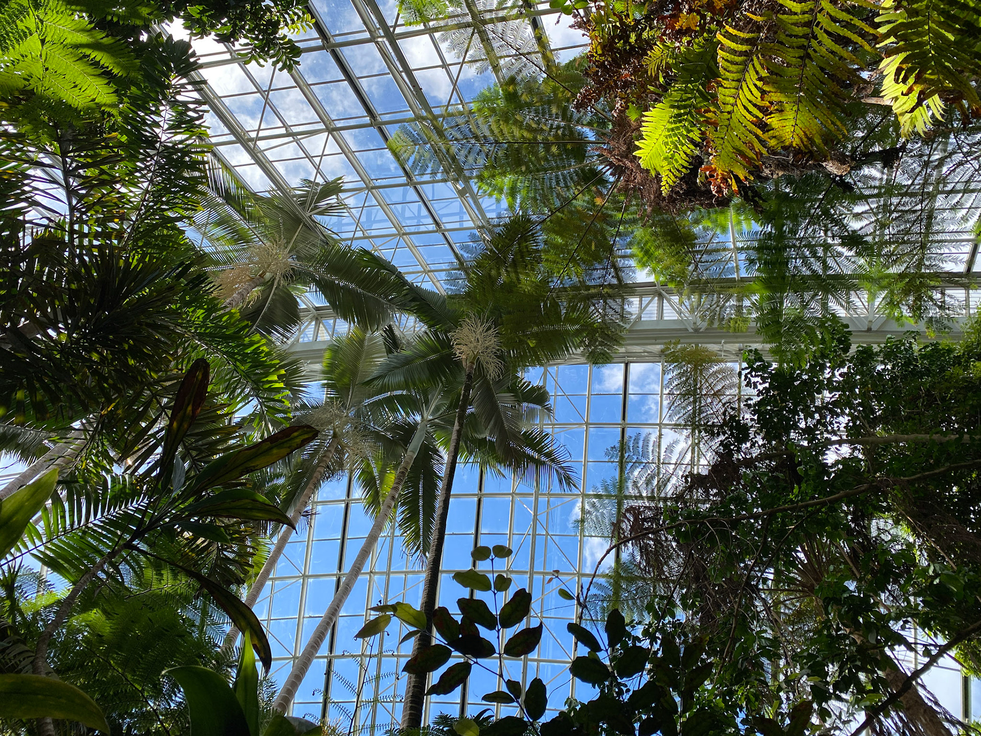 Adelaide Bicentennial Conservatory