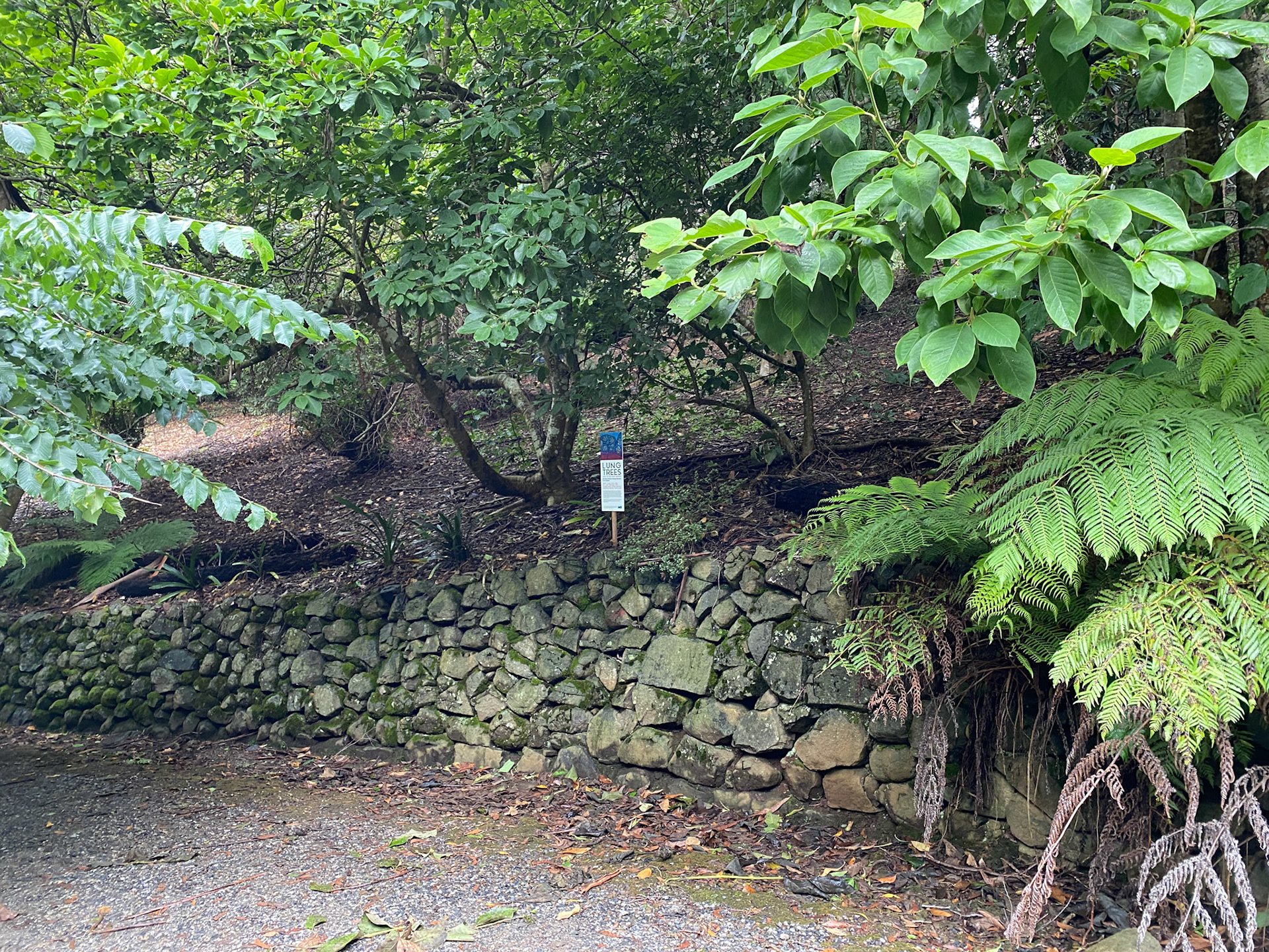 Alfred Nicholas site 1