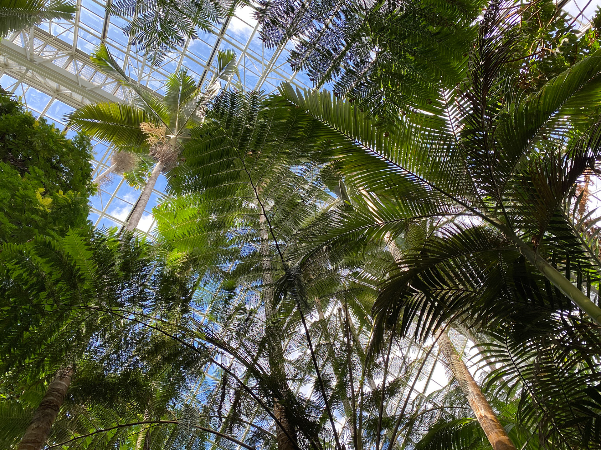 Conservatory Adelaide