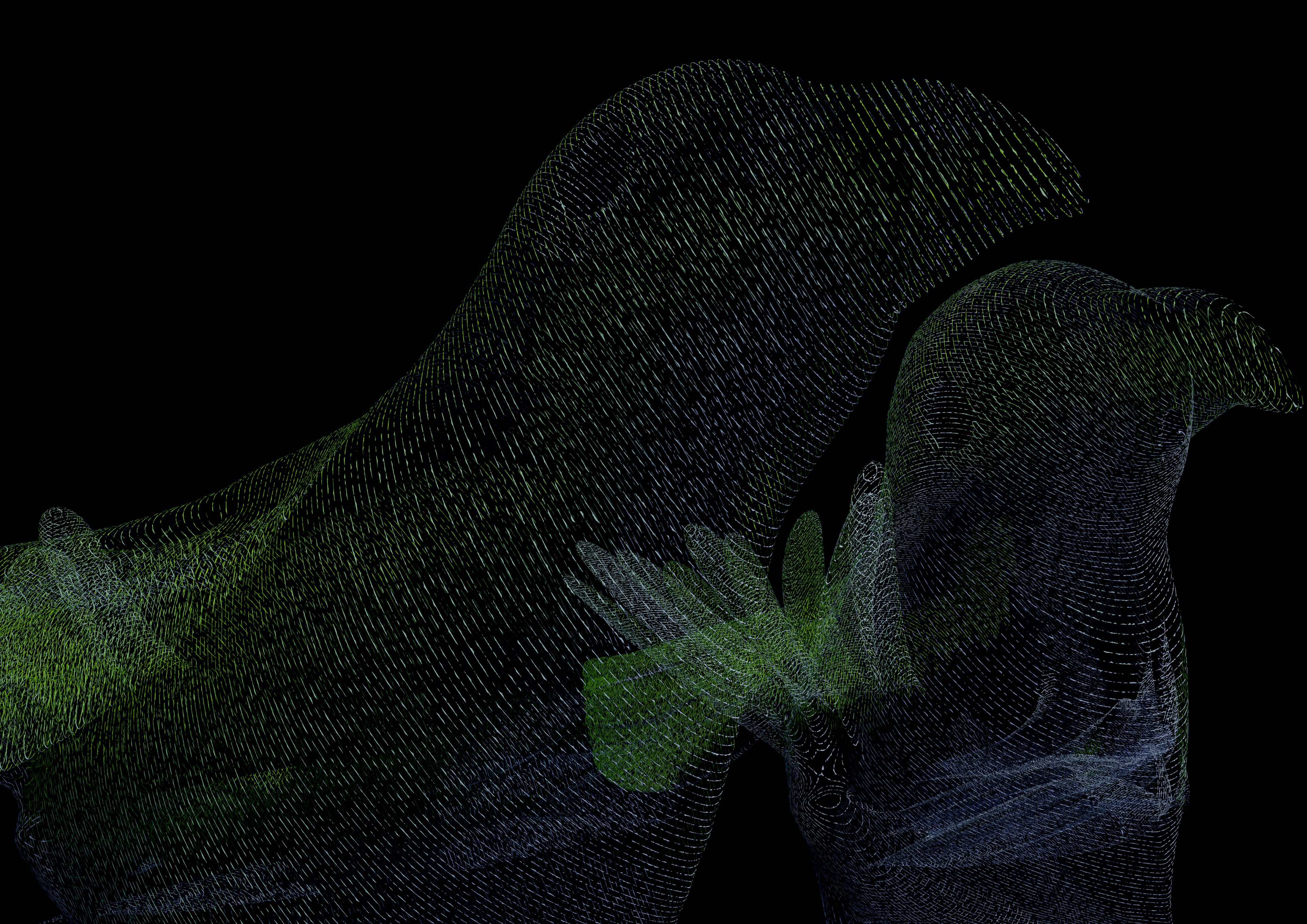 Two Xray Birds 2
