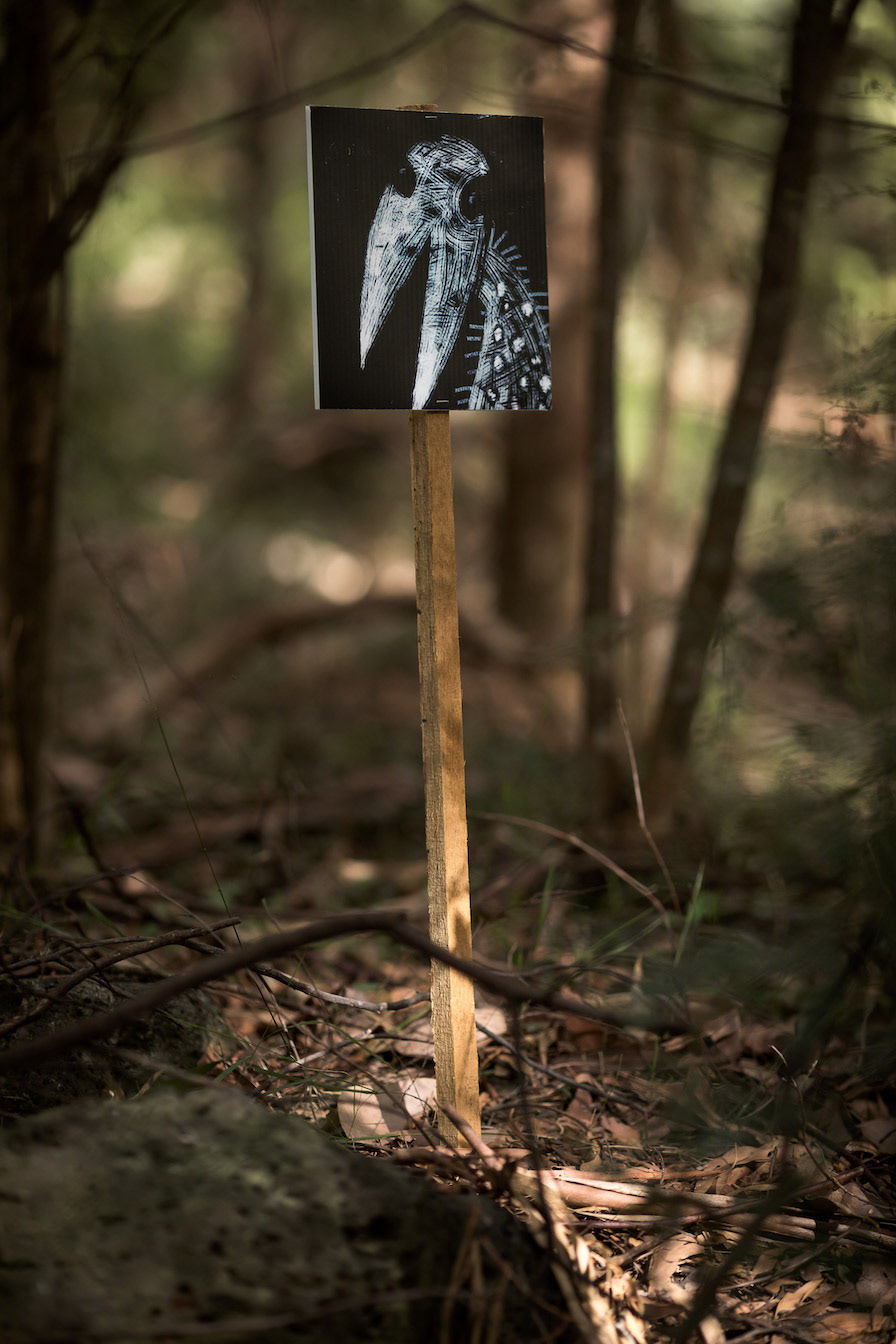 Bird Child Spirit: Selby 2022 (photography by Cathy Ronalds)