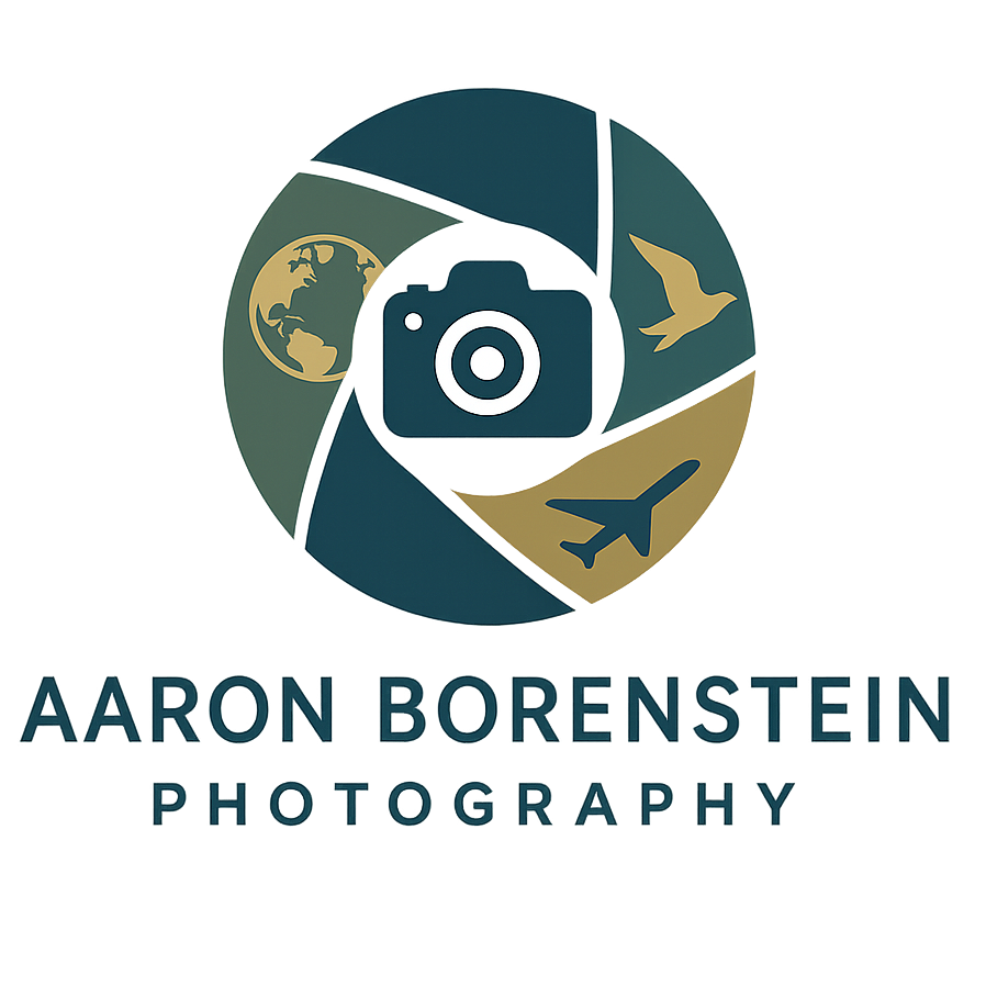 Aaron Borenstein