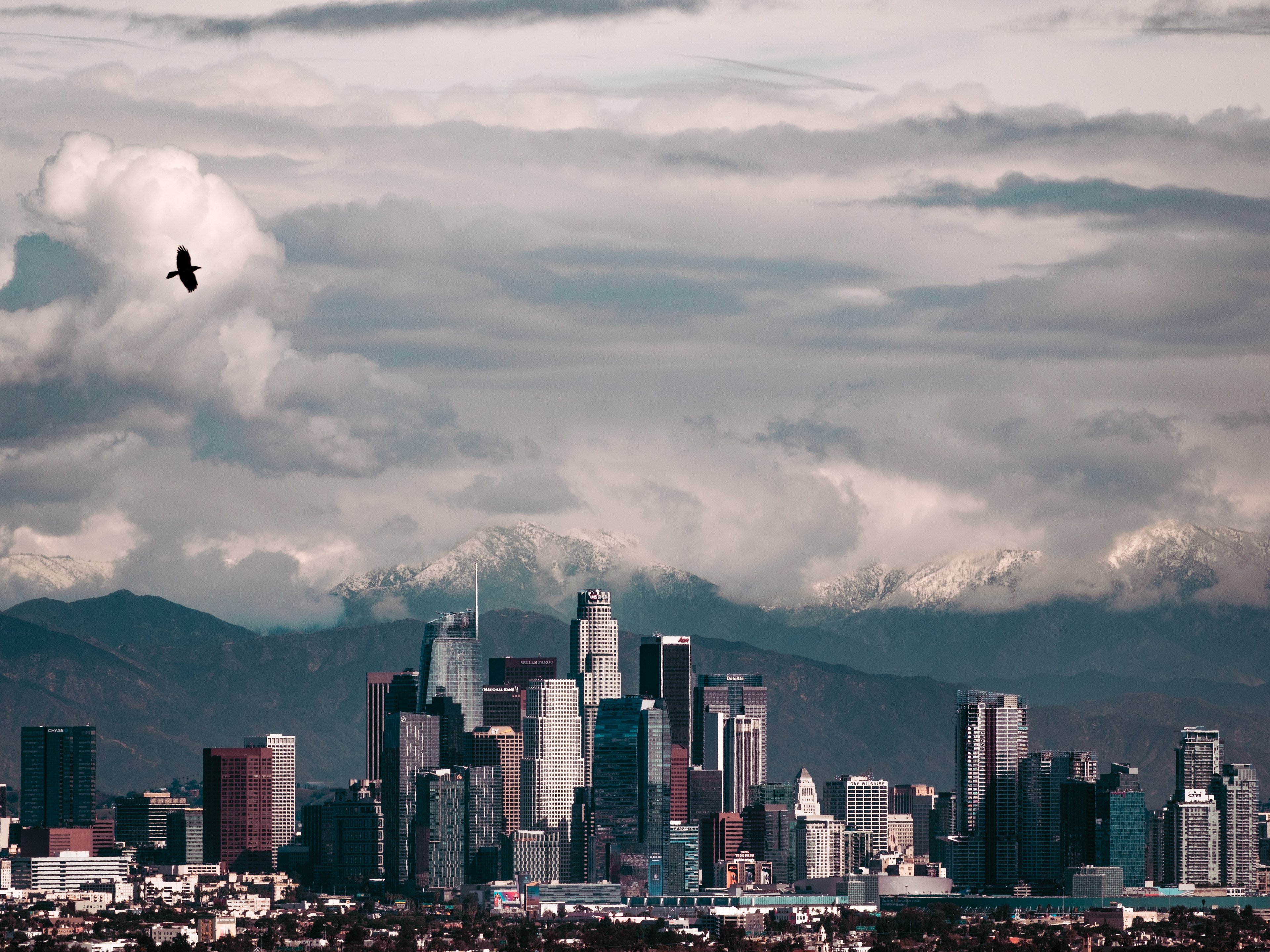 Kenneth Hanh State Park, Los Angeles