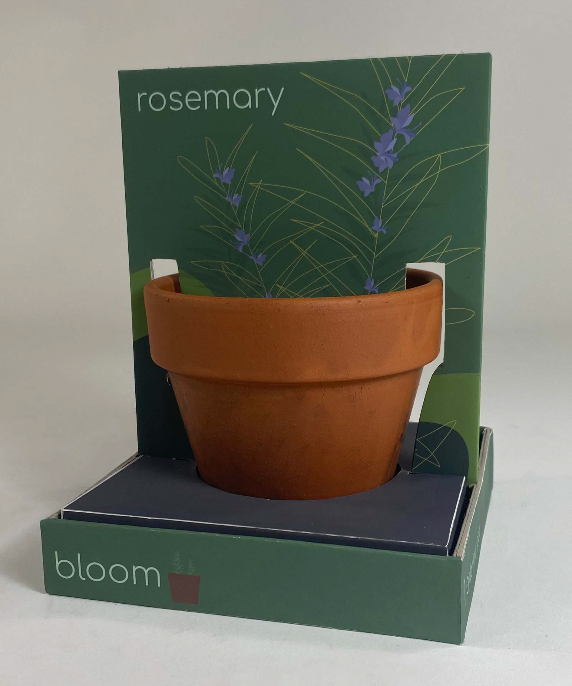Bloom corner view