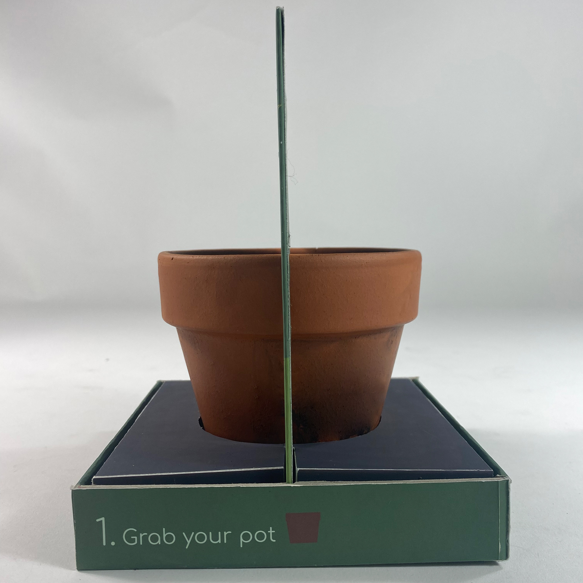 Bloom Side view