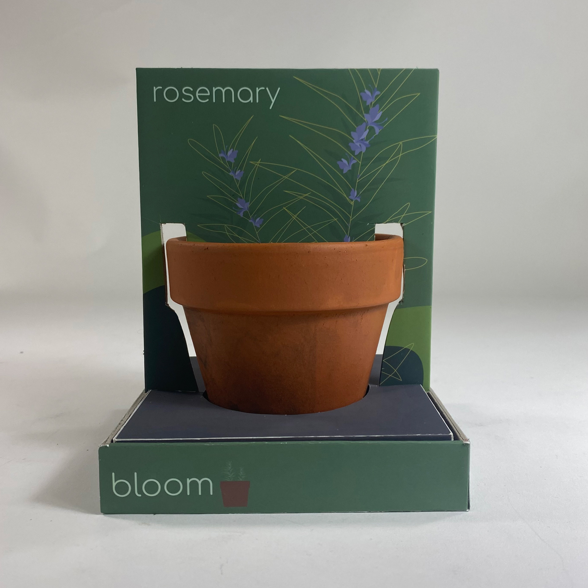Bloom Packaging with pot and kit inside
