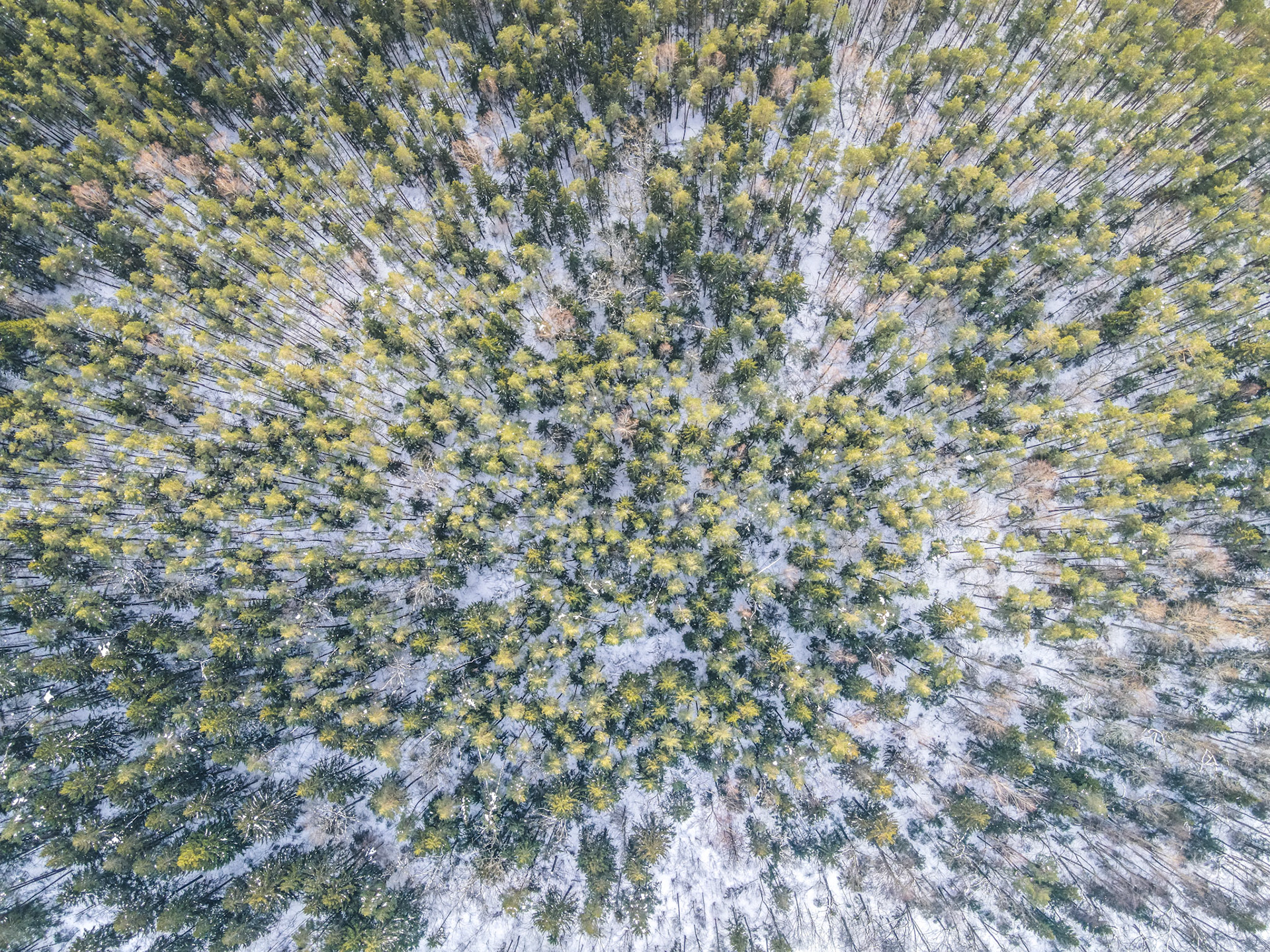 default