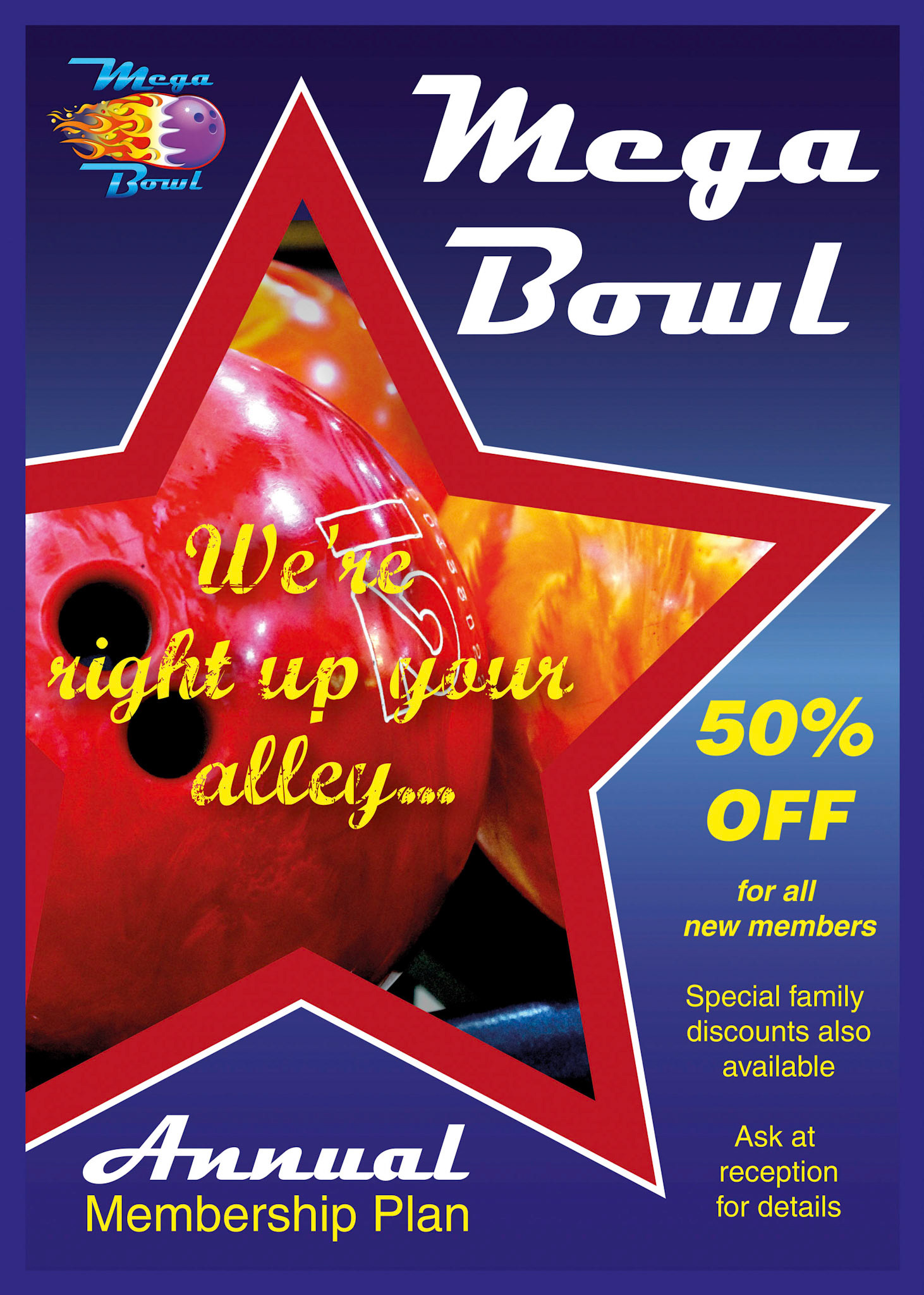 Mega Bowl 1190 x 850 poster 1