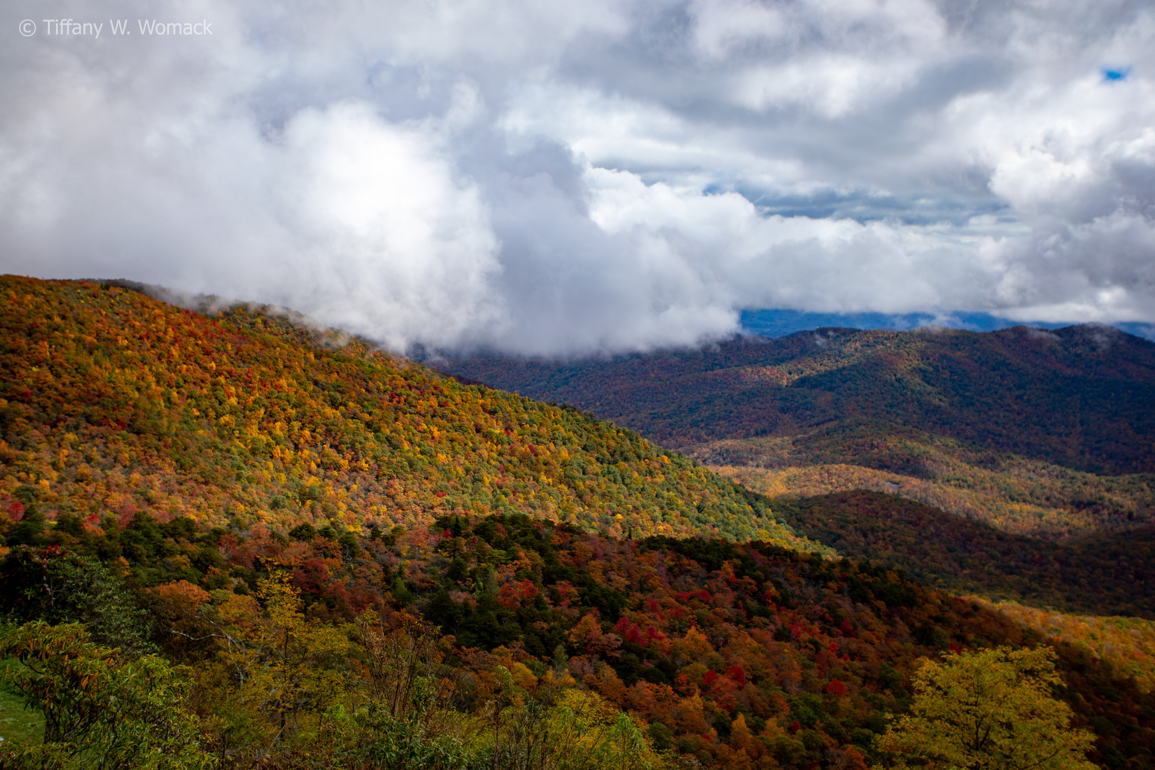 Mt. Pisgah, looking South (Pisgah National Forest 2020)