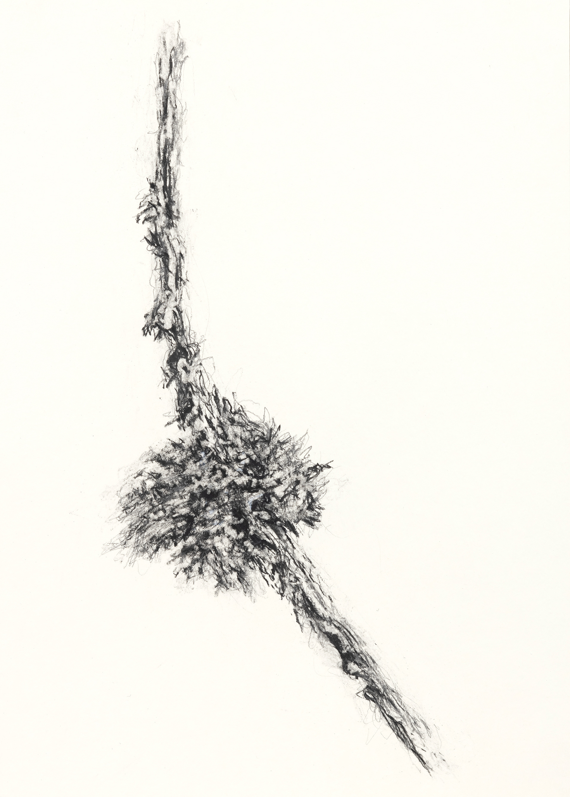 Stumper og biter #IX  42x30