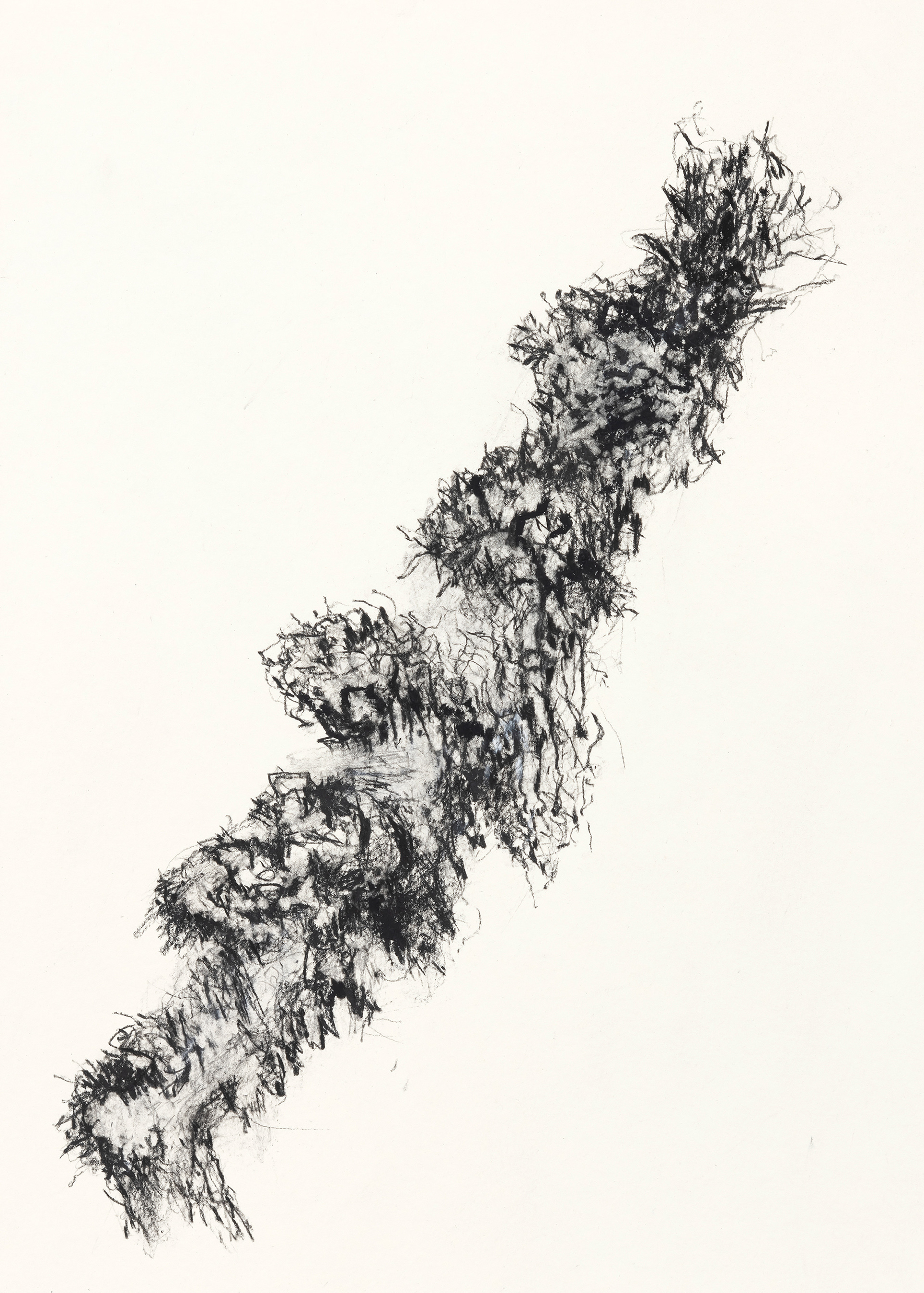 stumper og biter #VIII  42x30