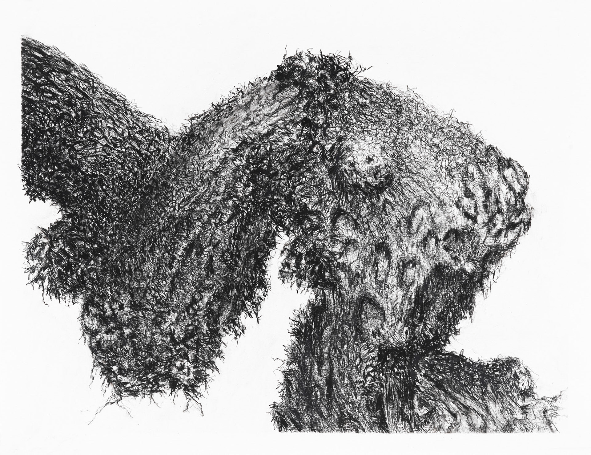 Friedhof Grunewald-Forst # II  50x65