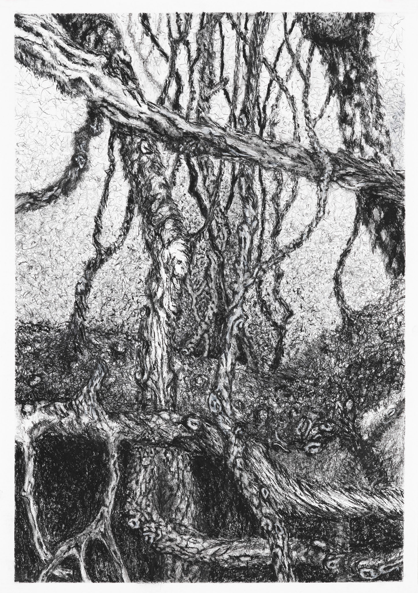 Jüdischer Friedhof Schönhauser Allee #I  60x42