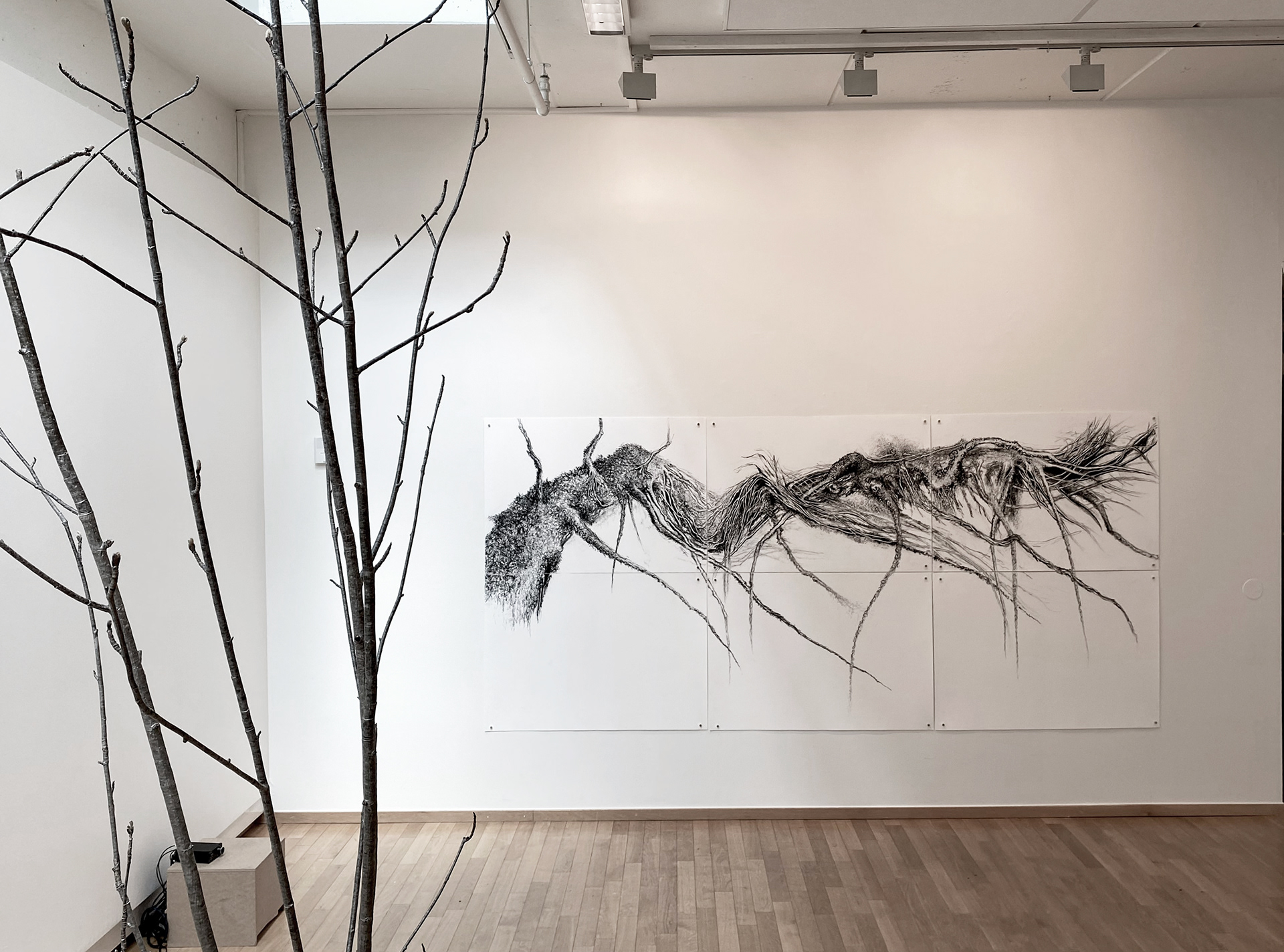 Møre og Romsdal Kunstsenter 2023