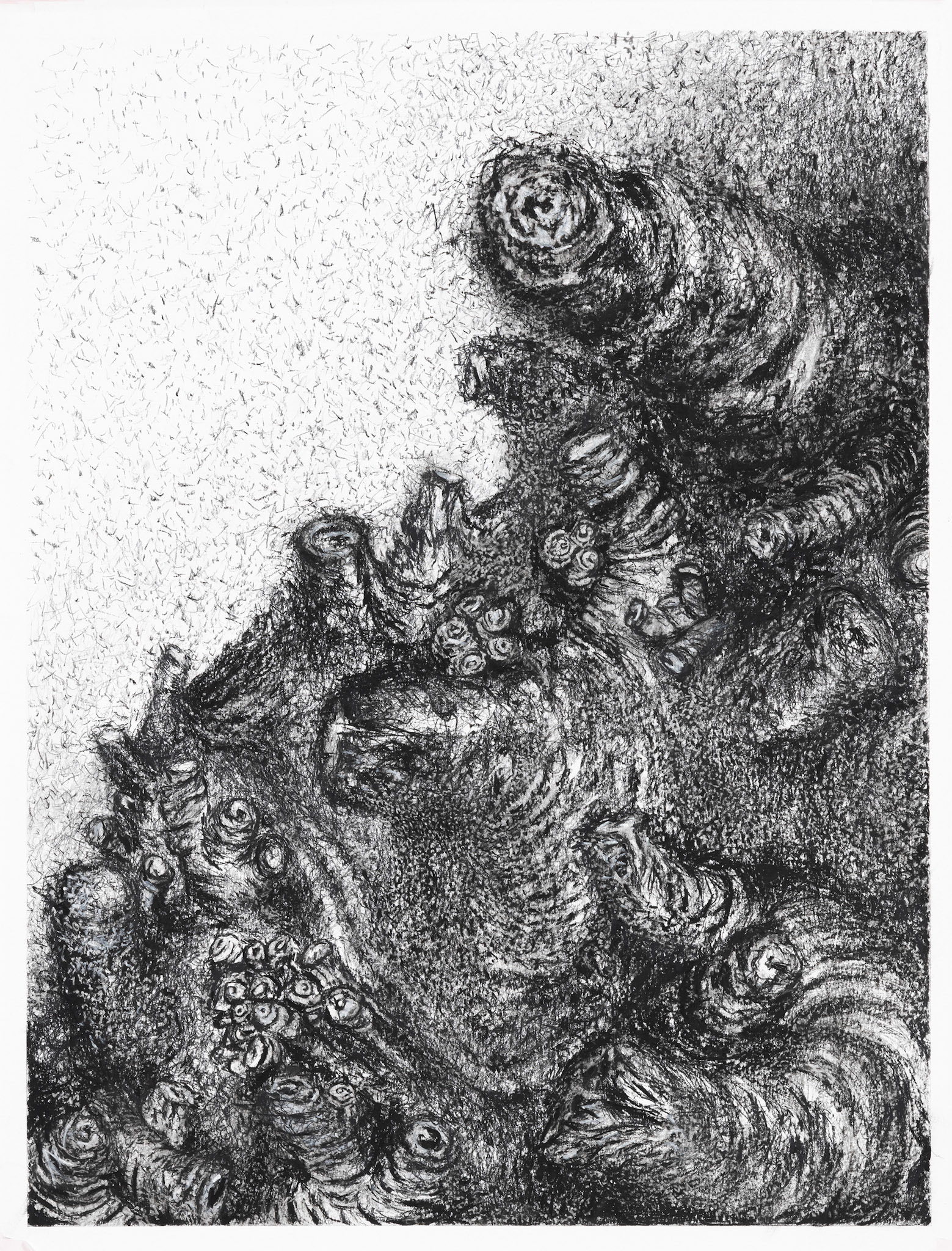 Alter Sankt Matthäus Kirchhof #I  65x50