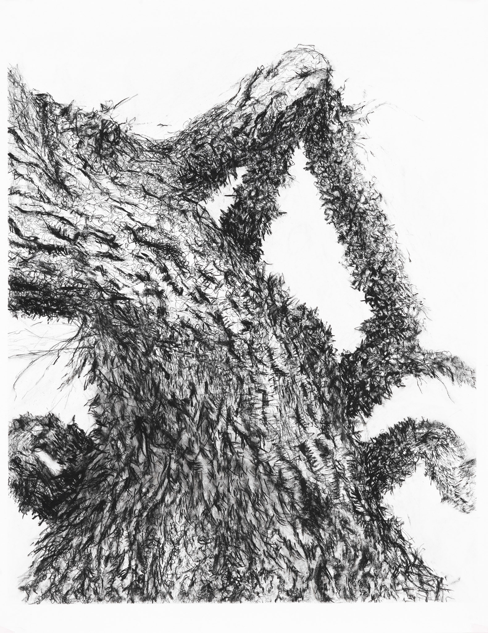 Friedhof Grunewald-Forst #I  65x50