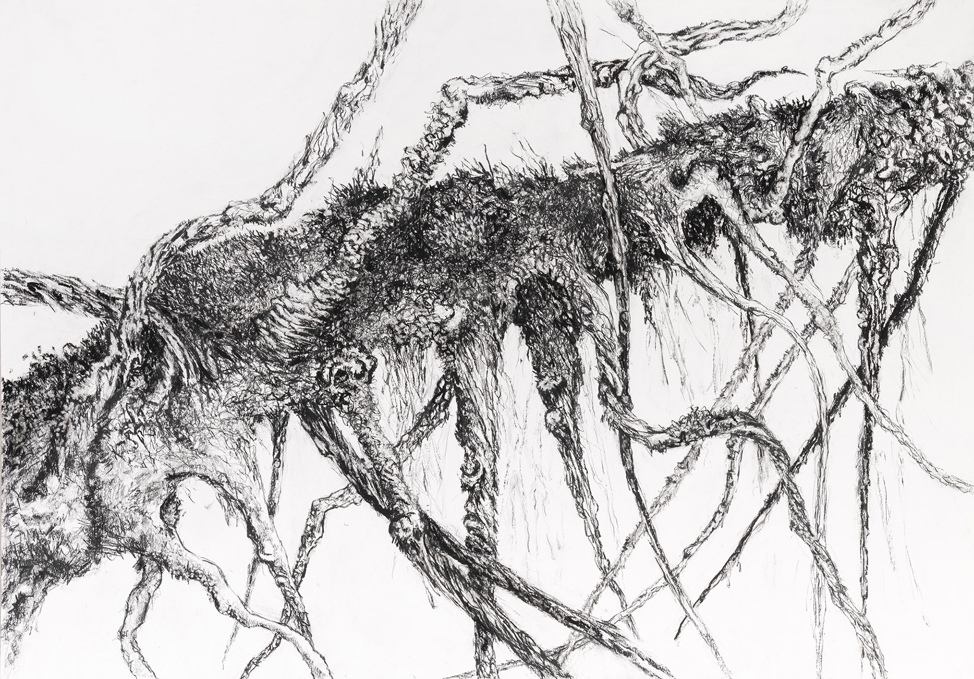 Skjelett #II  70x100