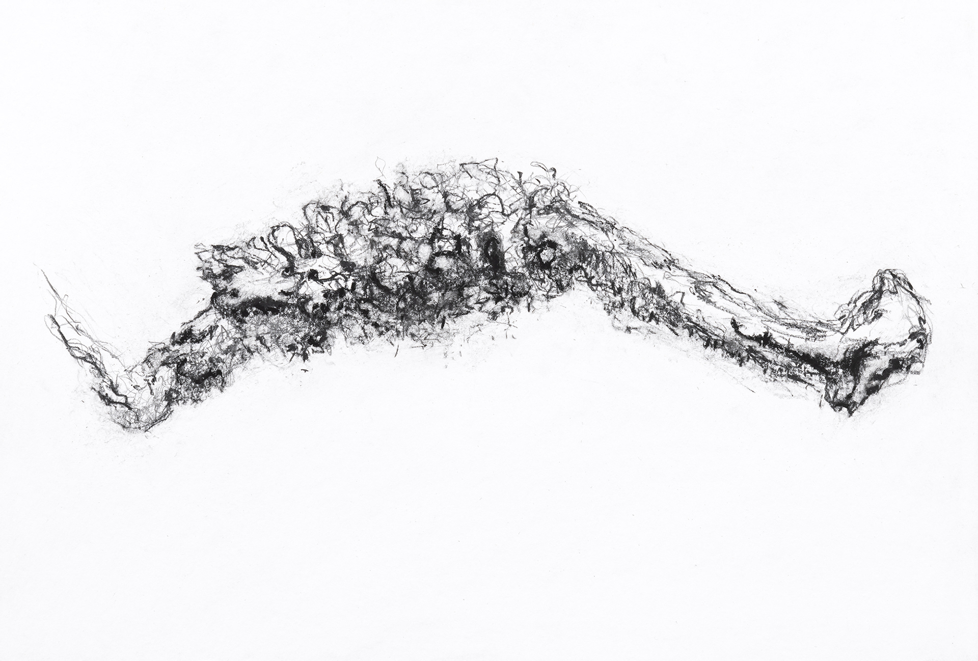 Stumper og biter #V  28x41