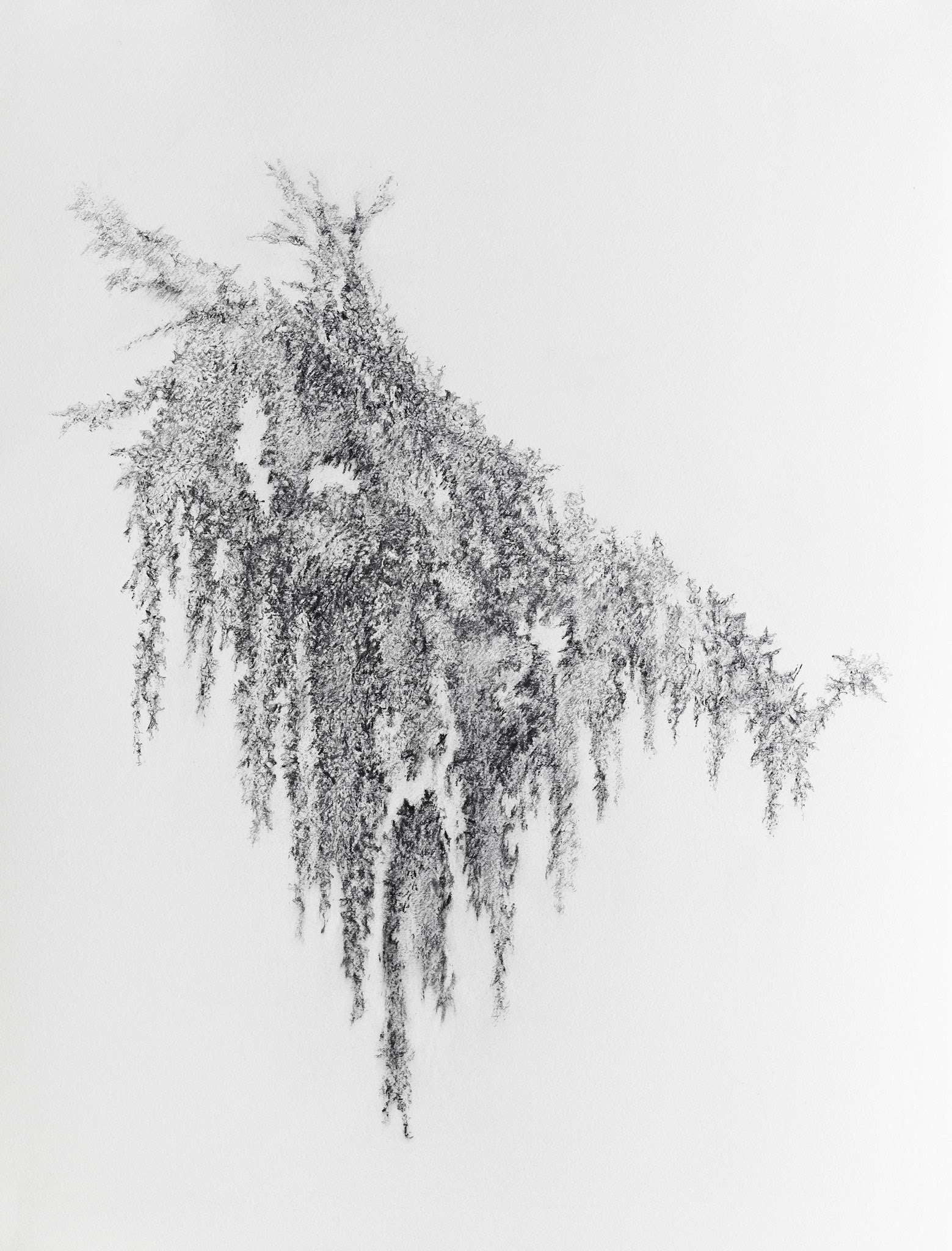 Fragment #II Blyant på papir