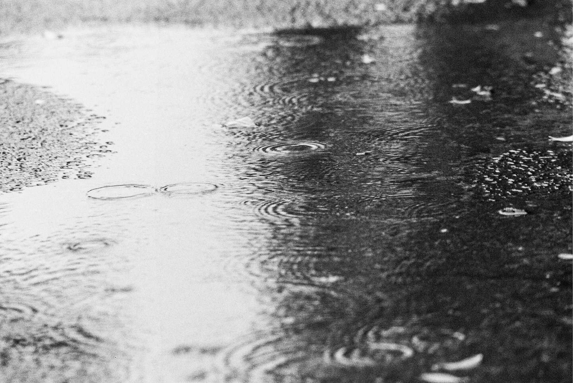 Autosave-File vom d-lab2/3 der AgfaPhoto GmbH