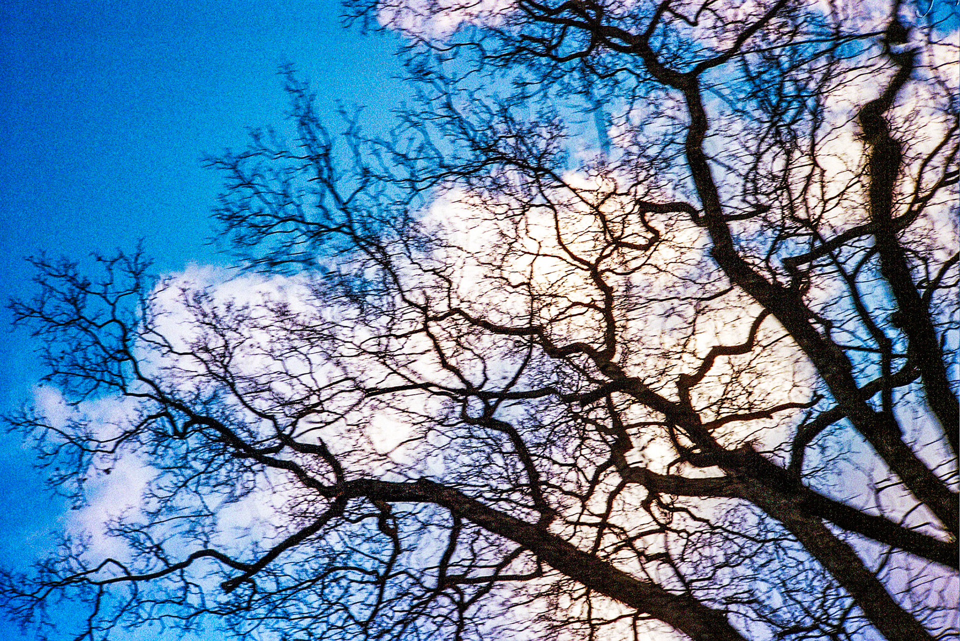 Autosave-File vom d-lab2/3 der AgfaPhoto GmbH