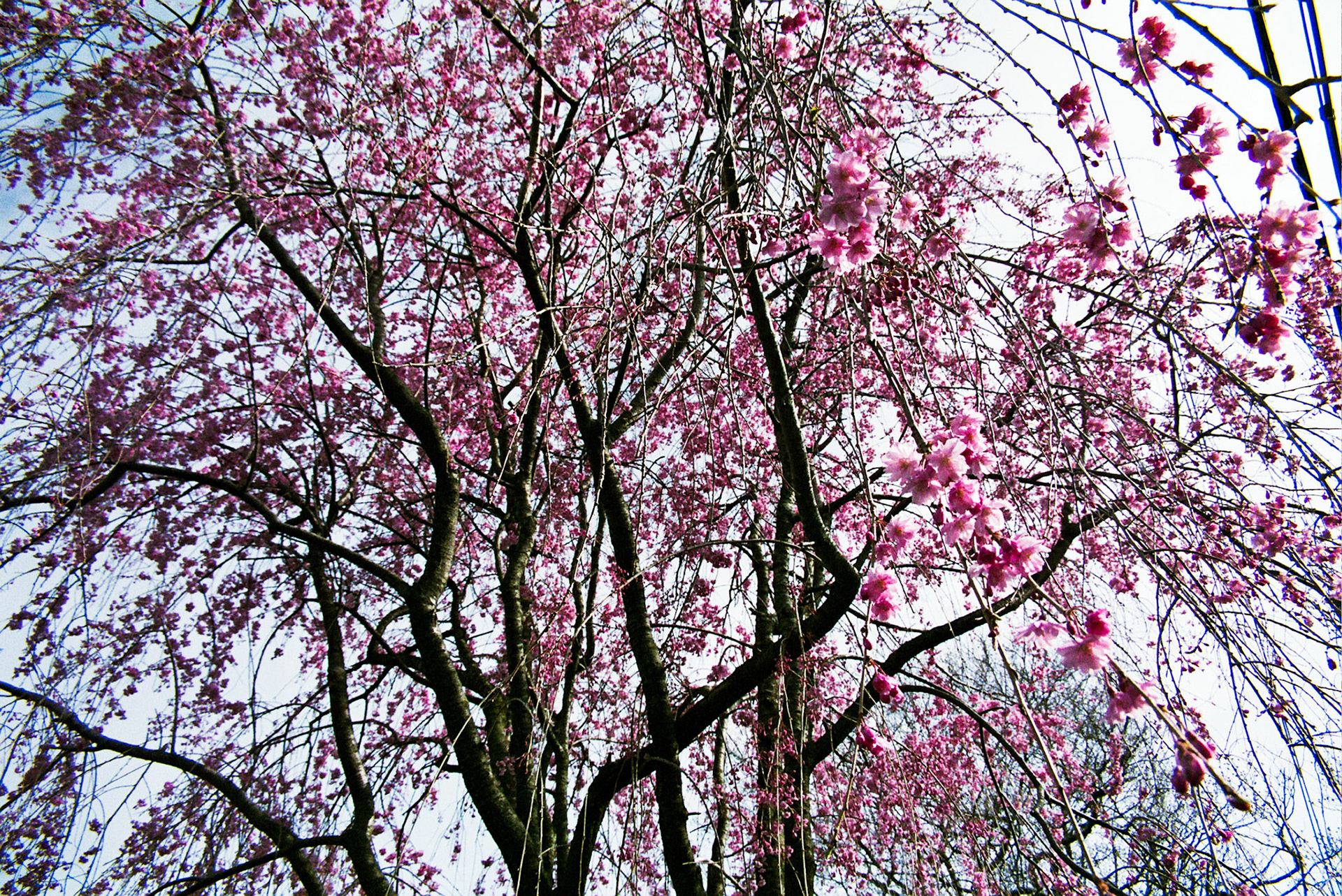 Autosave-File vom d-lab2/3 der AgfaPhoto GmbH