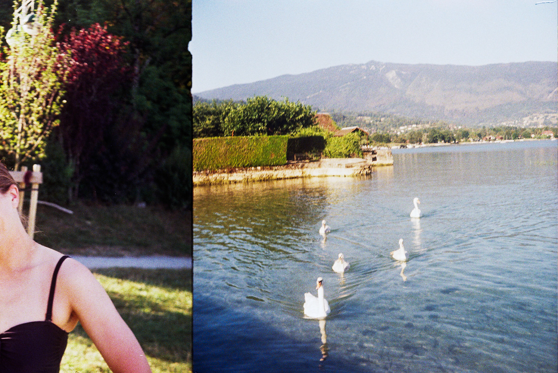 Autosave-File vom d-lab2/3 der AgfaPhoto GmbH