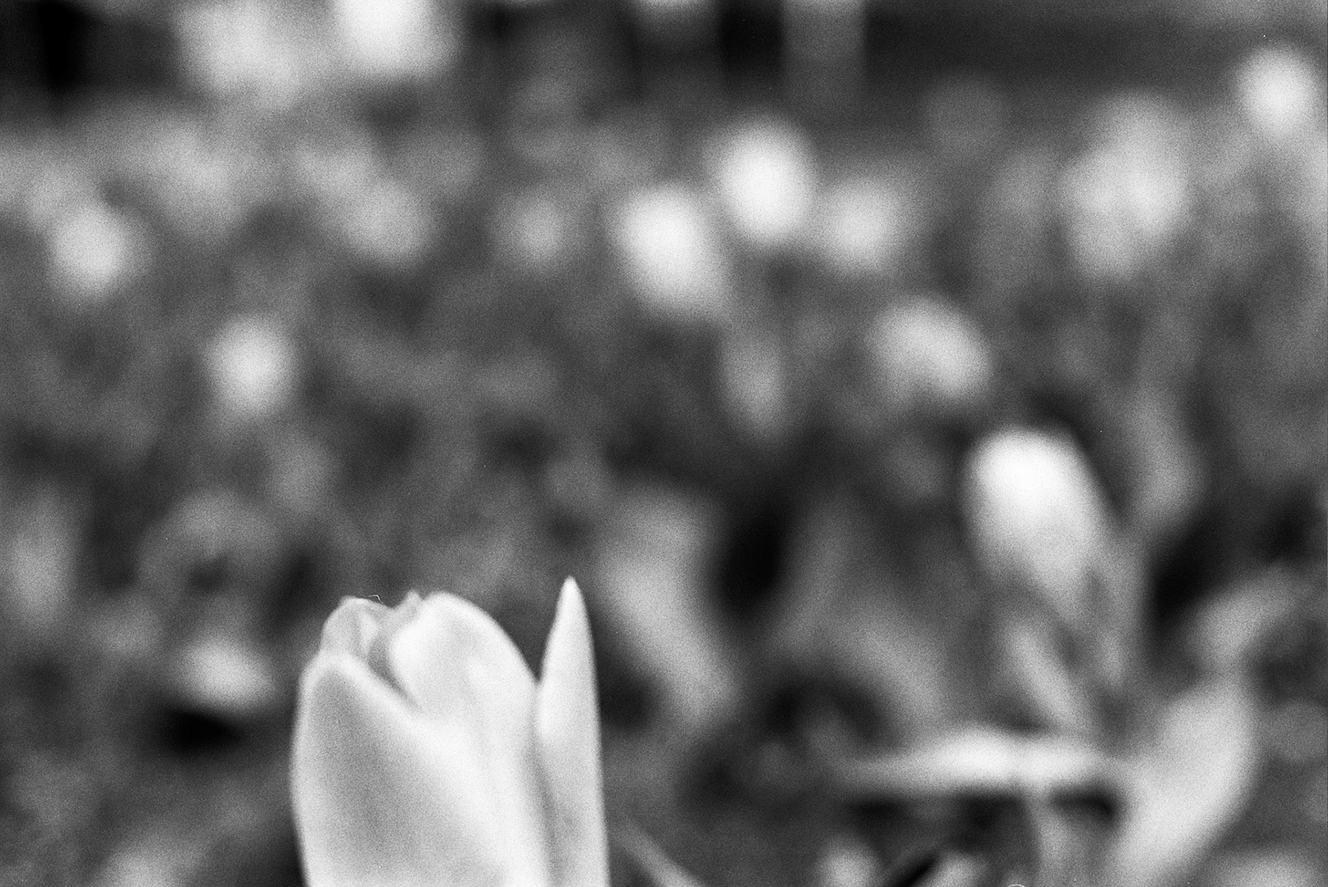 Autosave-File vom d-lab2/3 der AgfaPhoto GmbH