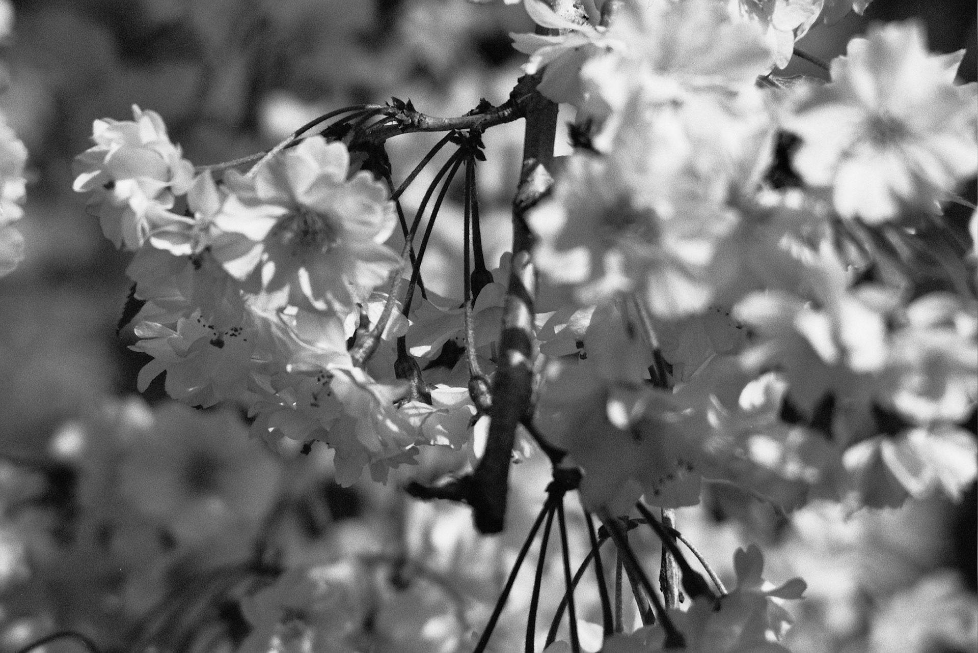 Autosave-File vom d-lab2/3 der AgfaPhoto GmbH