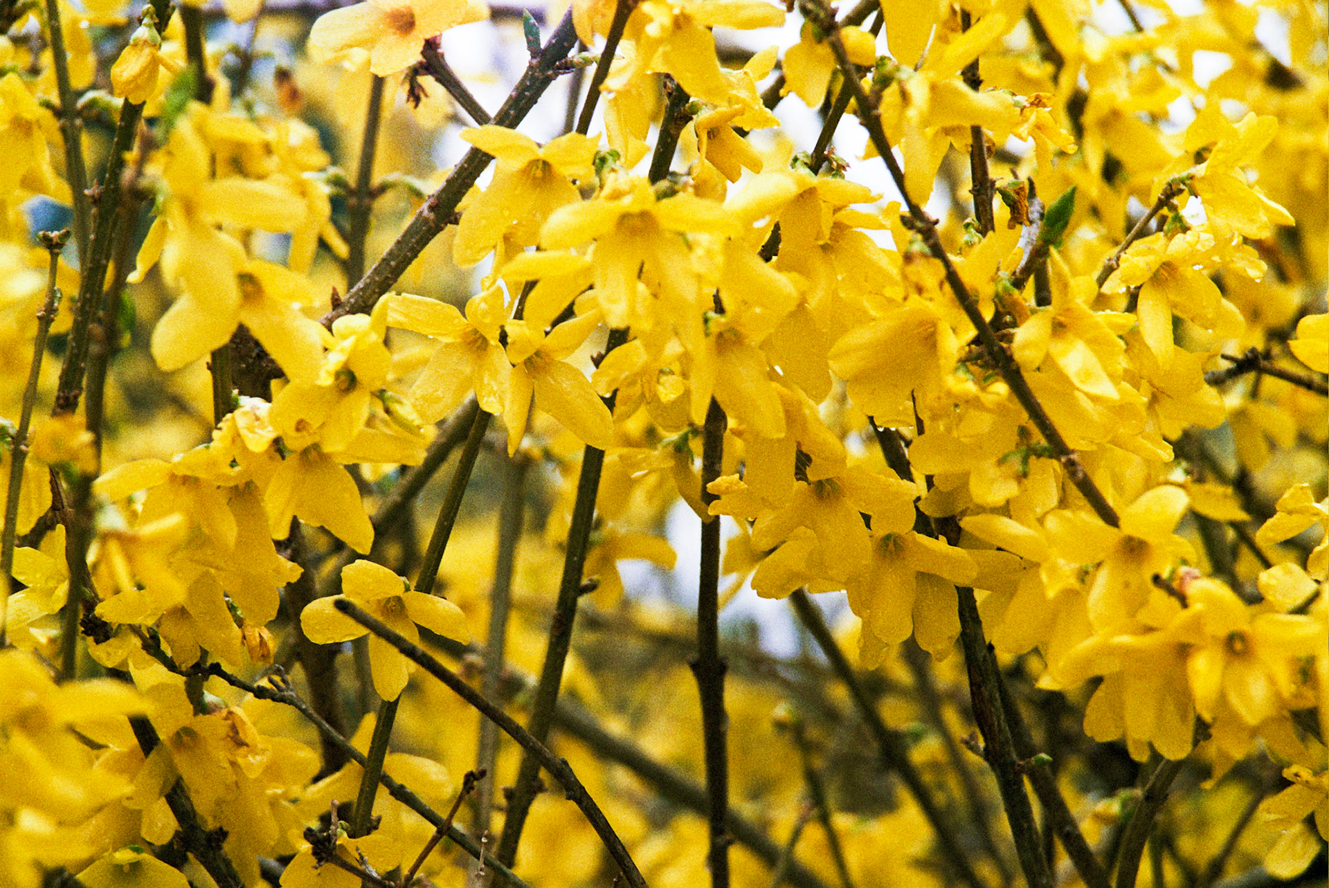 Autosave-File vom d-lab2/3 der AgfaPhoto GmbH