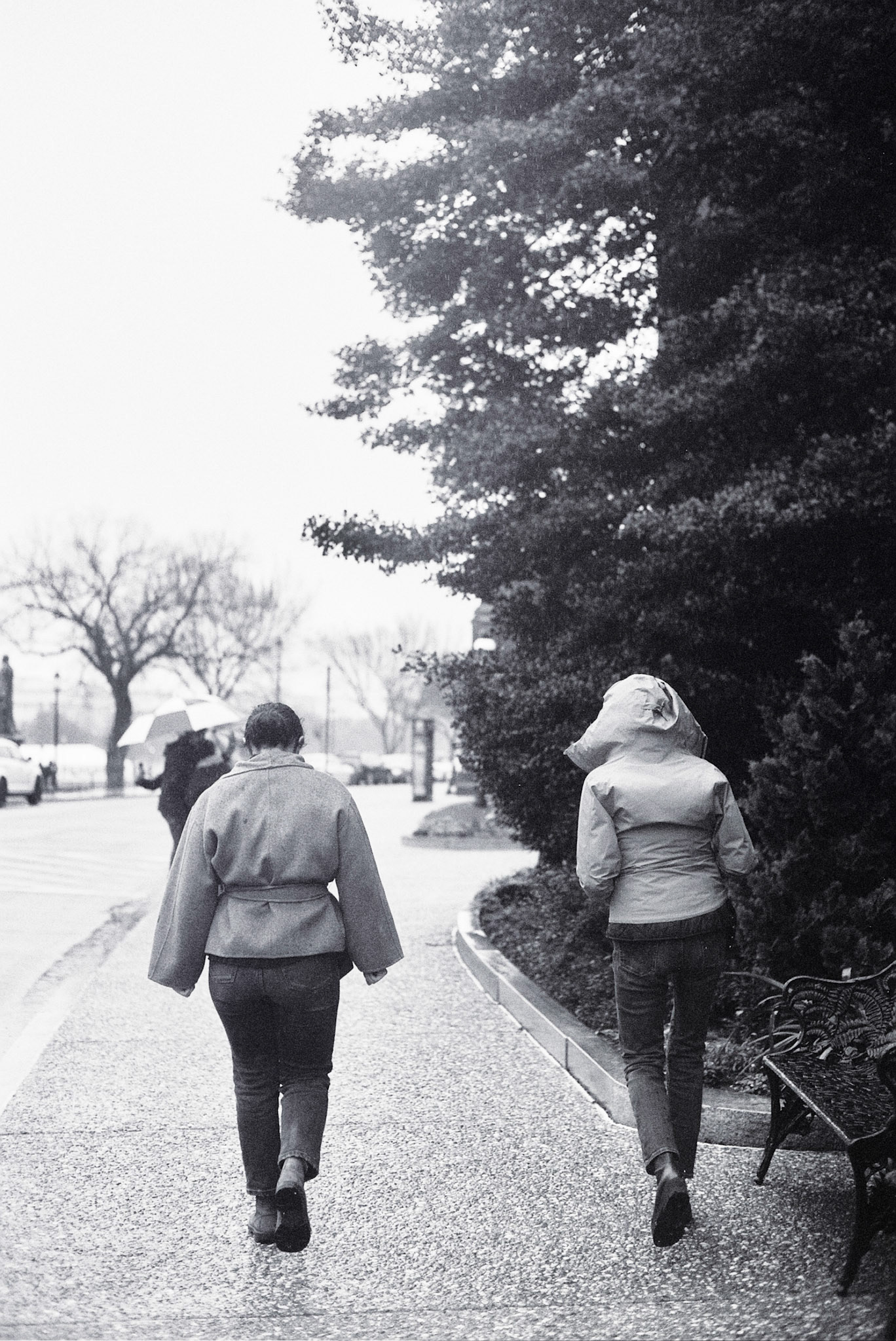 Autosave-File vom d-lab2/3 der AgfaPhoto GmbH